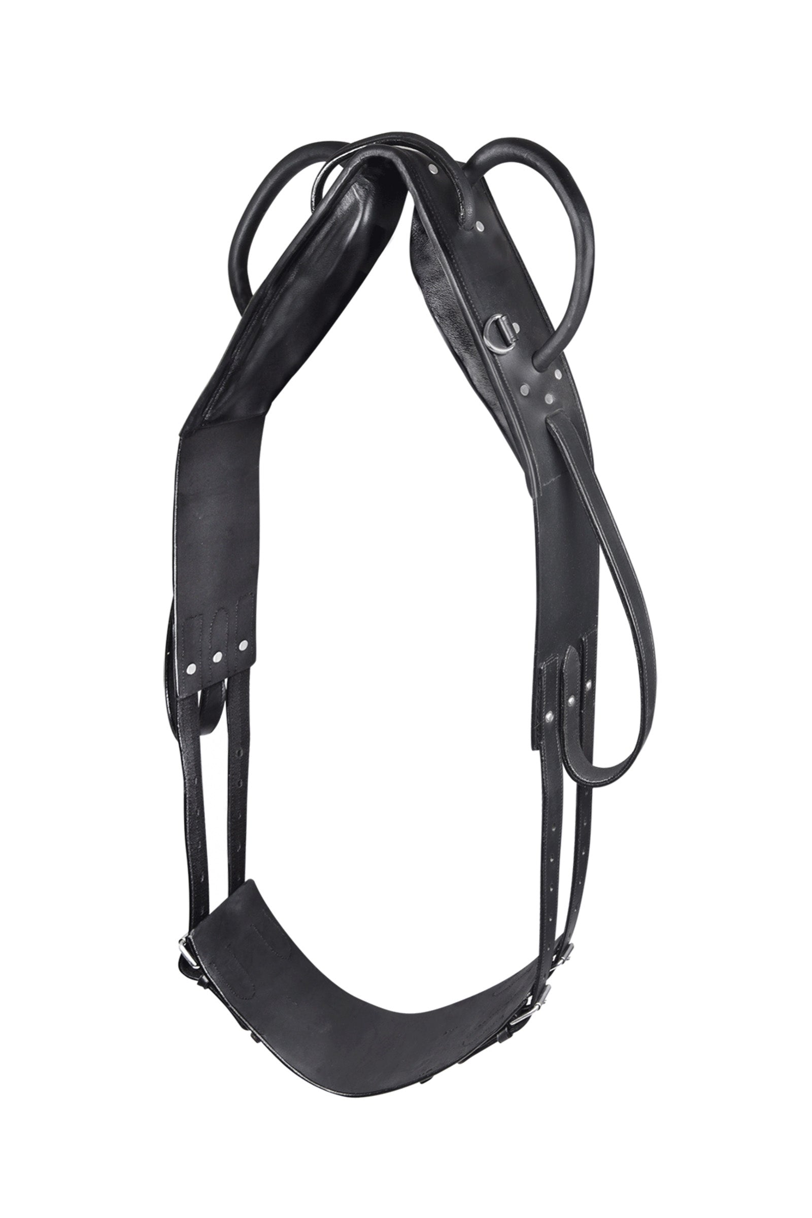 Waldhausen Vaulting & Lunging Surcingle Longeren & Longeerhulp