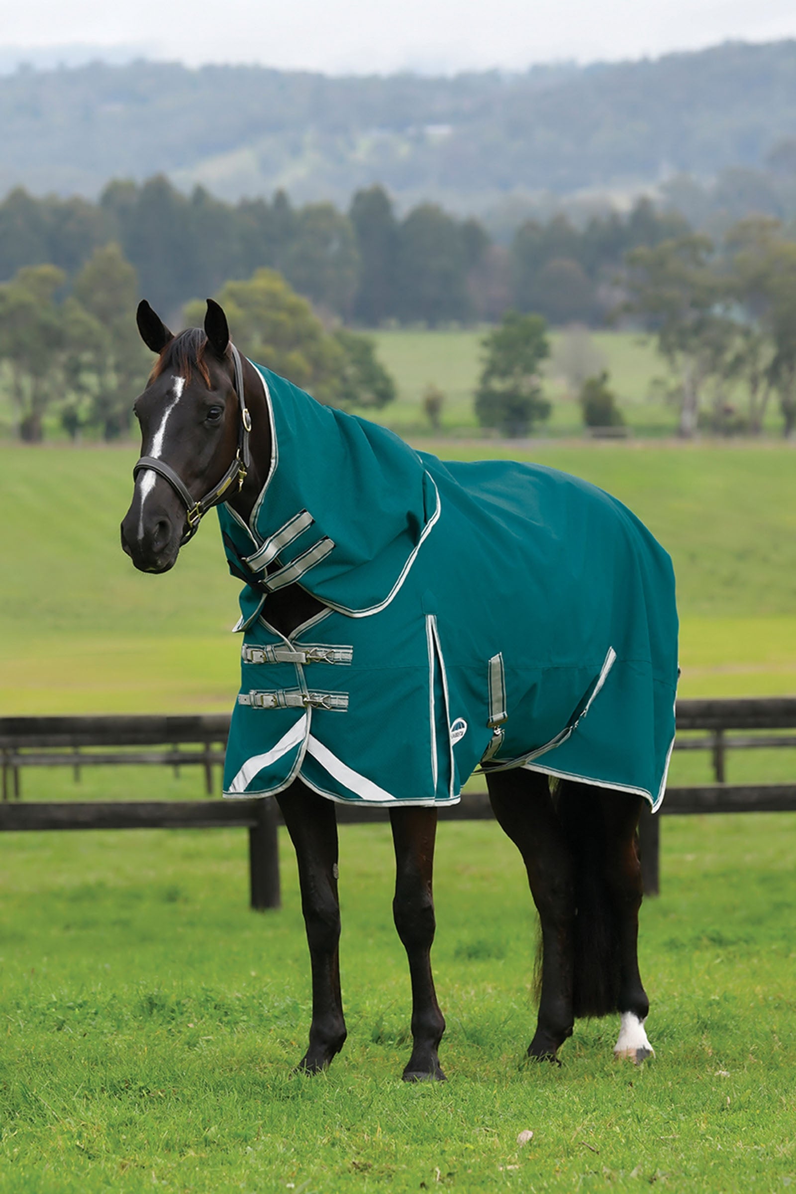 Weatherbeeta Comfitec Plus Dynamic II Detach-a-Neck Turnout Rug, 0g Horse Rugs