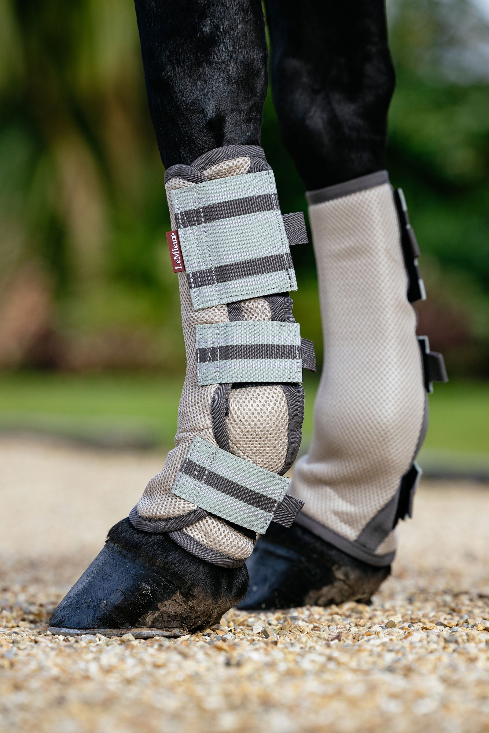 LeMieux Arika Mesh Beenbeschermers tegen vliegen (Set van 4) Vliegenbescherming