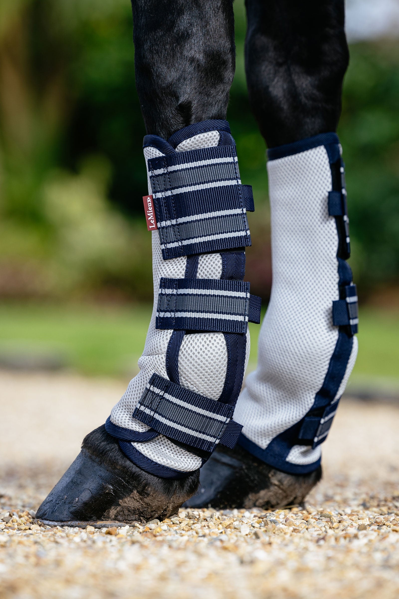 LeMieux Arika Mesh Beenbeschermers tegen vliegen (Set van 4) Vliegenbescherming