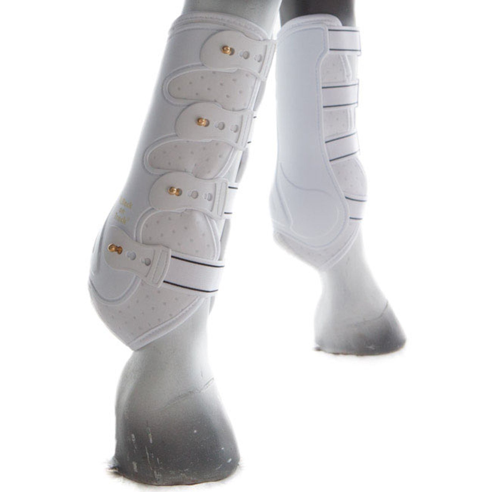 Back on Track Royal Beenbeschermers, Voorbeen Leg Protection & Hoof Protection for Horses