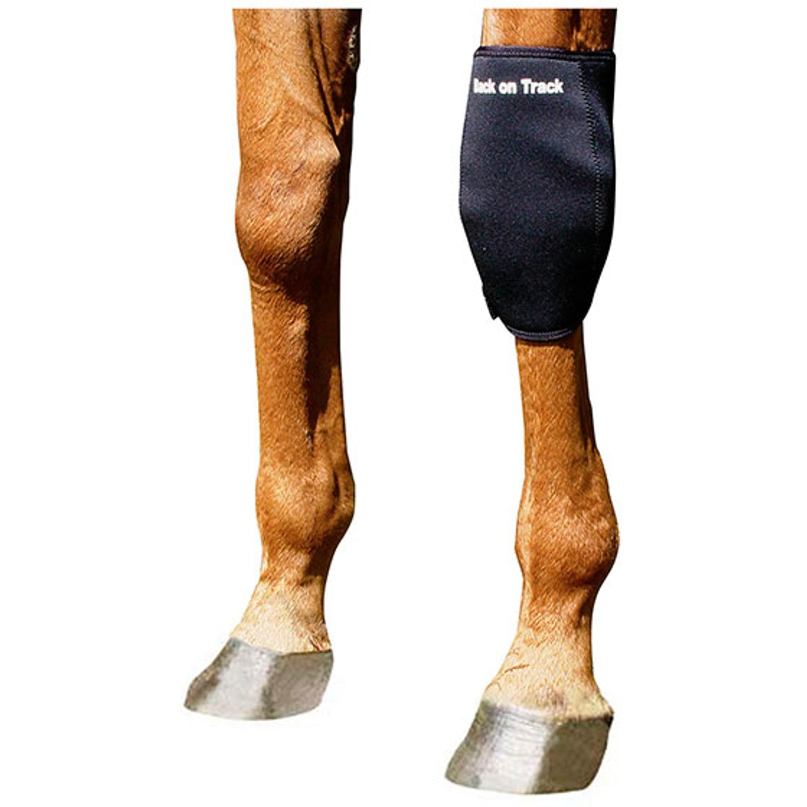 Back on Track Back On Track Kniebeschermer, Links Leg Protection & Hoof Protection for Horses