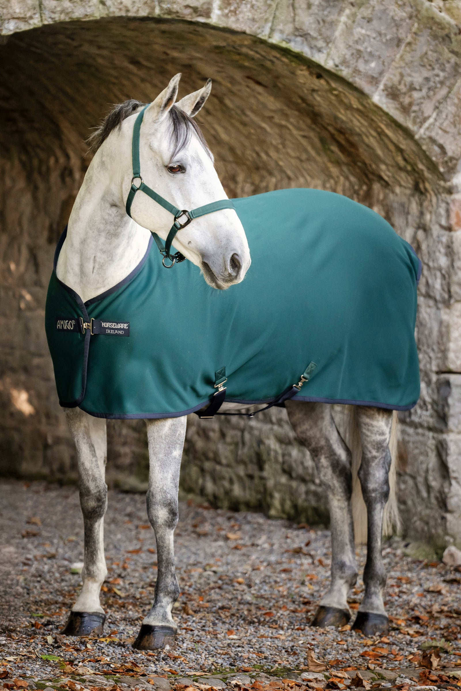 Horseware Amigo jersey zweetdeken Paardendekens