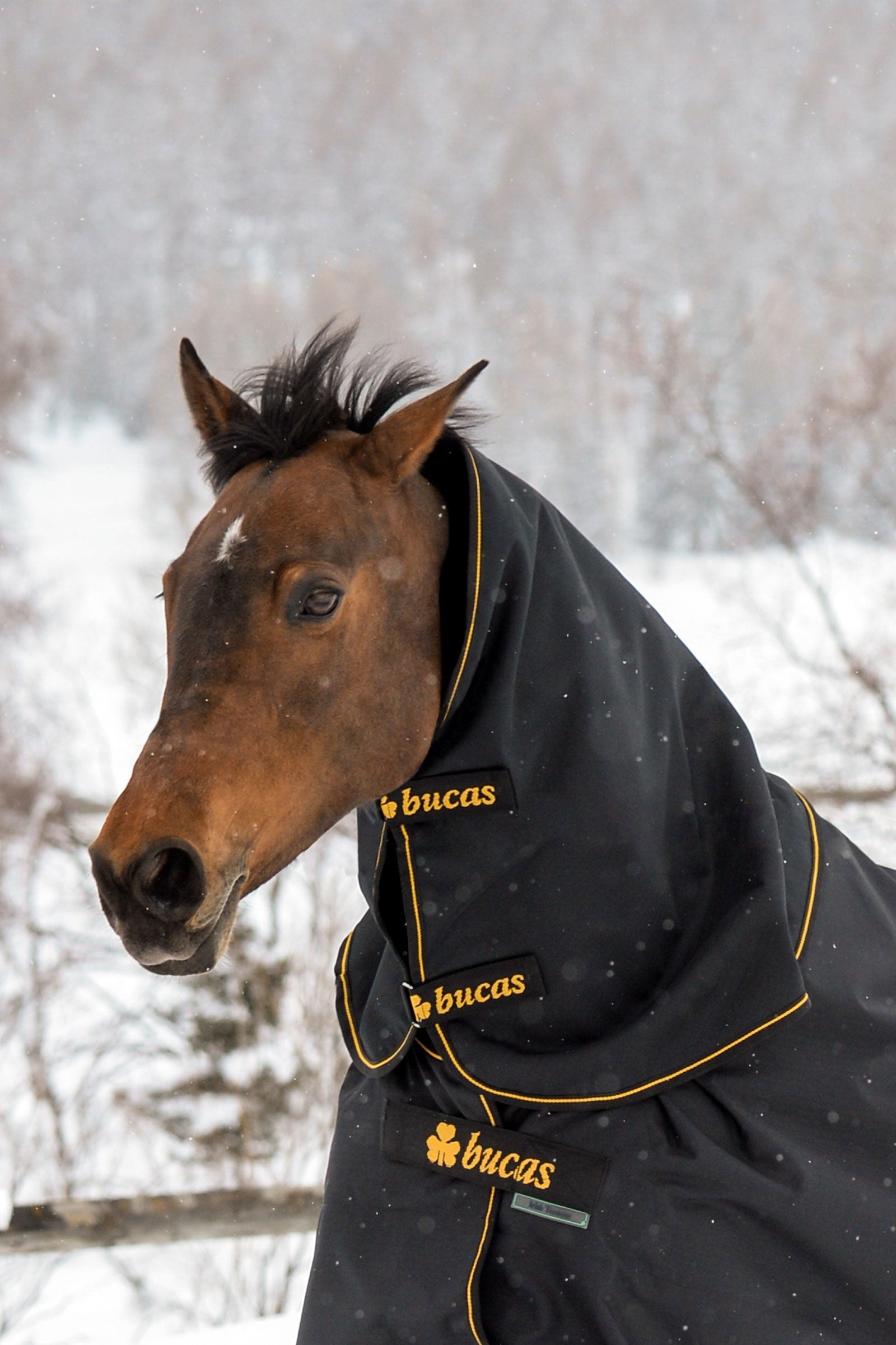 Bucas Irish Turnout Neck Piece, 300g Horse Rugs