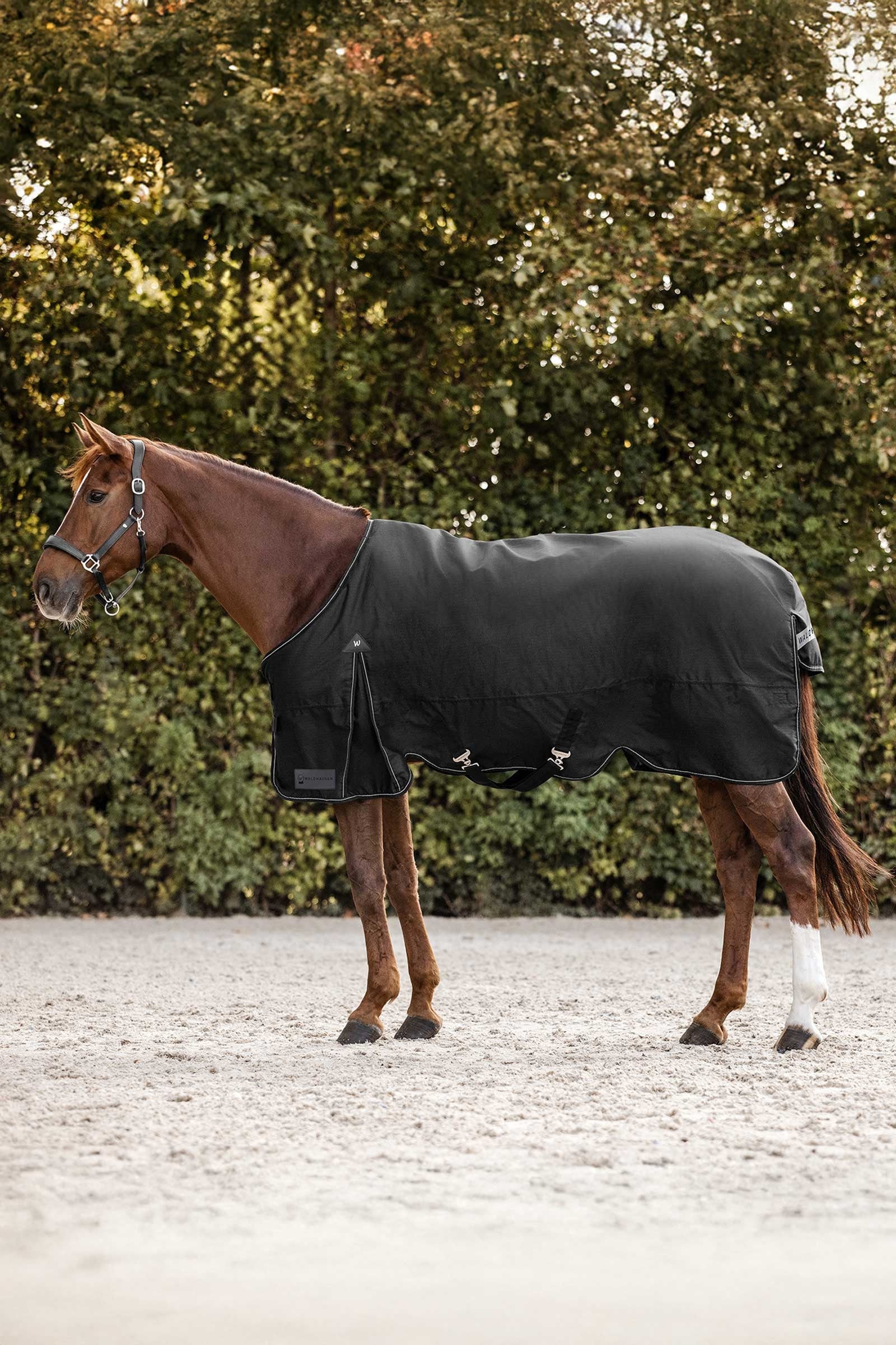 Waldhausen Arctic Outdoordeken, 200 g Paardendekens