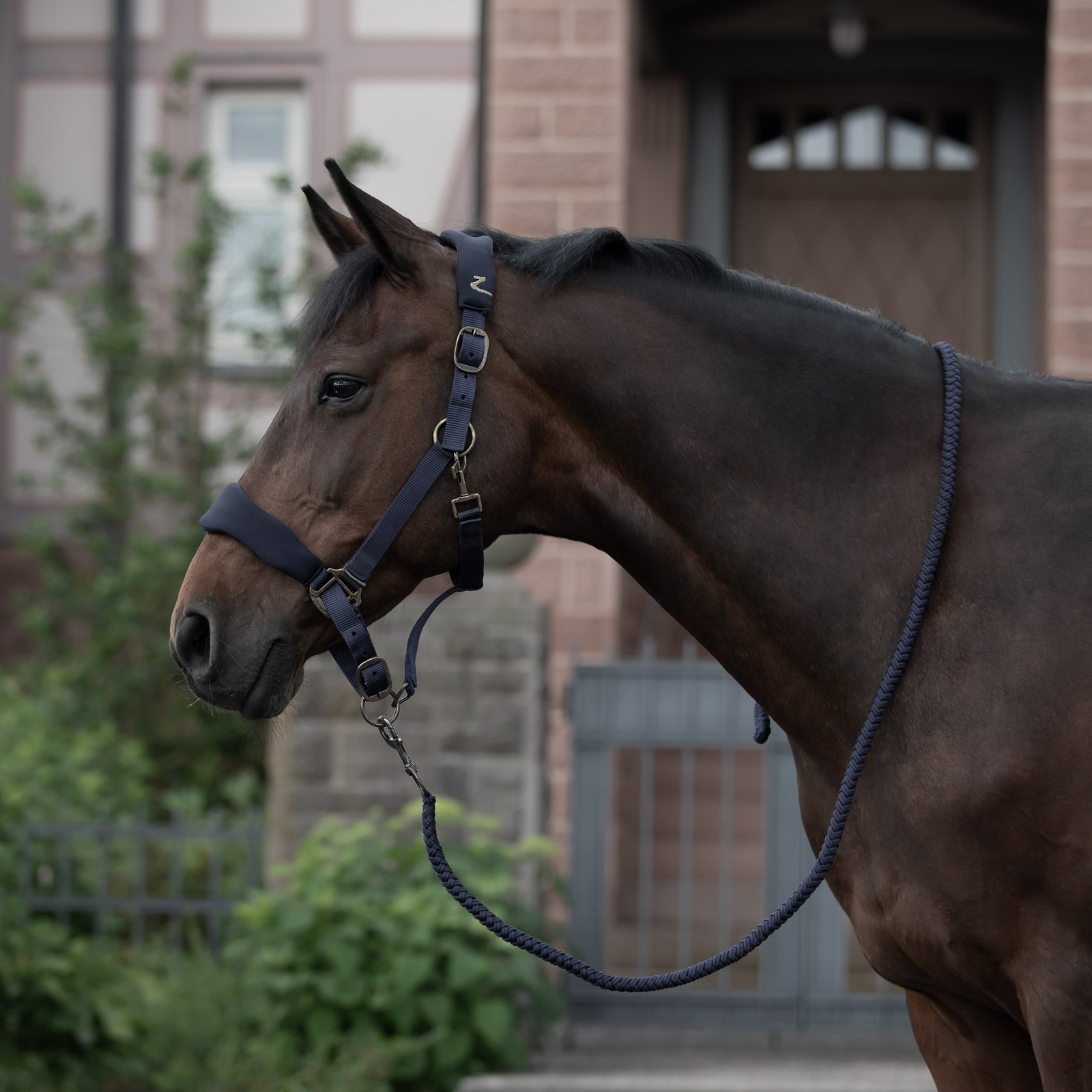 Horze Graz Halster Halsters & Halstertouwen