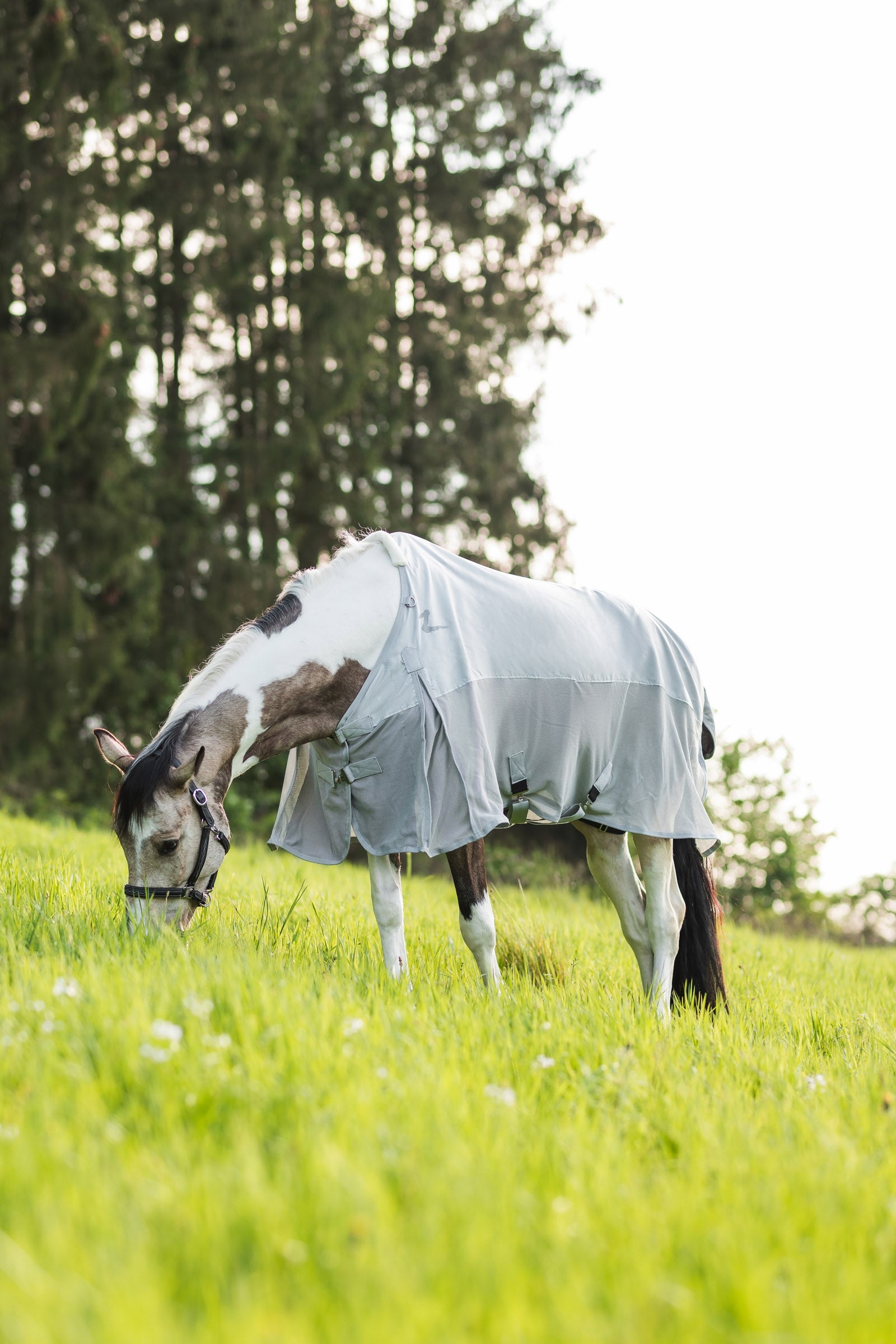 Horze Nevada Combo Shower/Fly Rug with Detachable Neck Horse Rugs