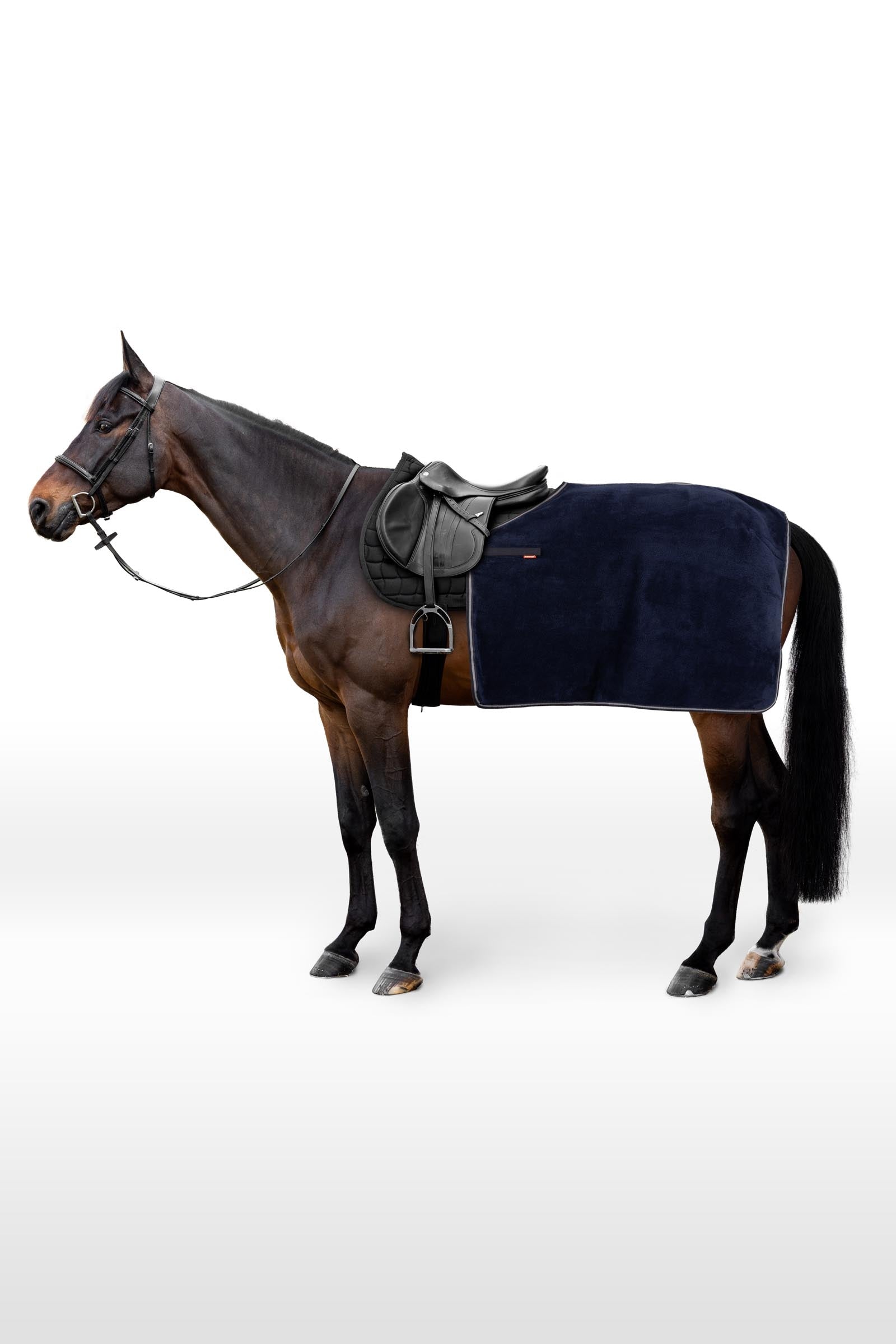 Horze Kingsley Trainingsdeken Paardendekens