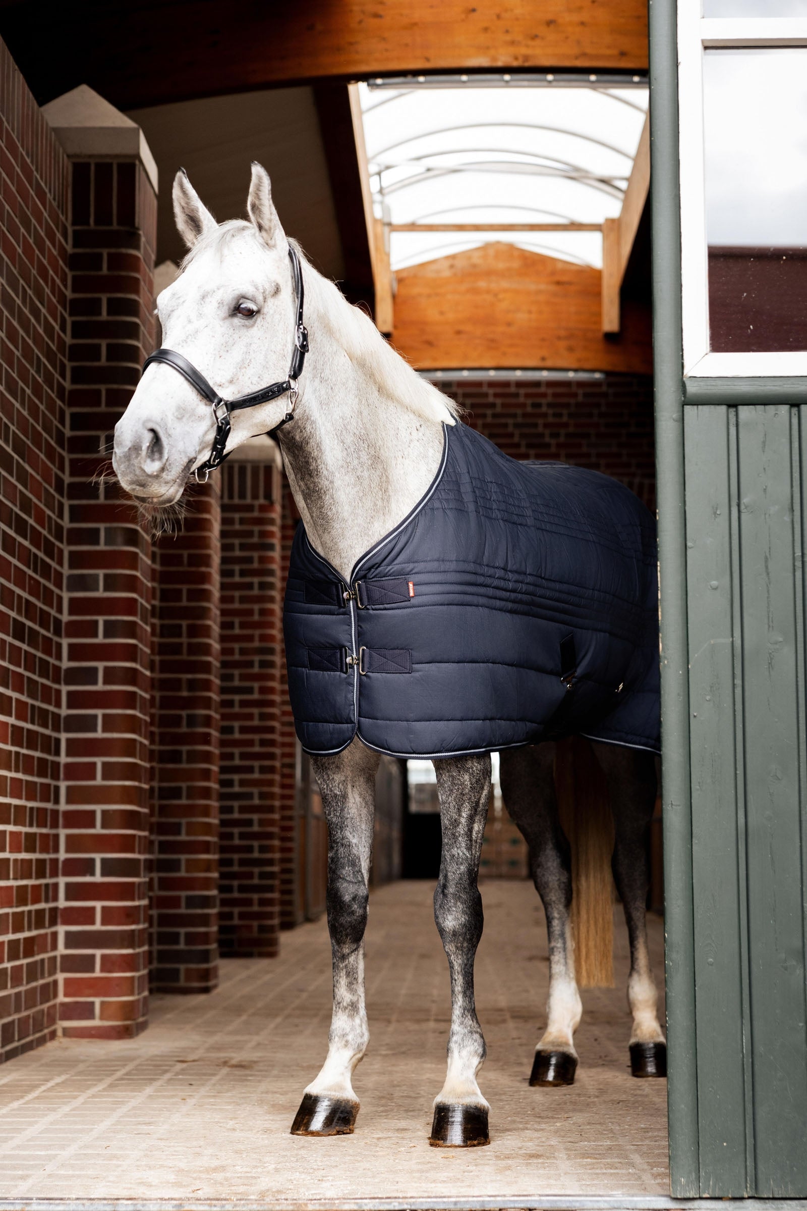 Horze Kingsley Staldeken, 300 grams Paardendekens