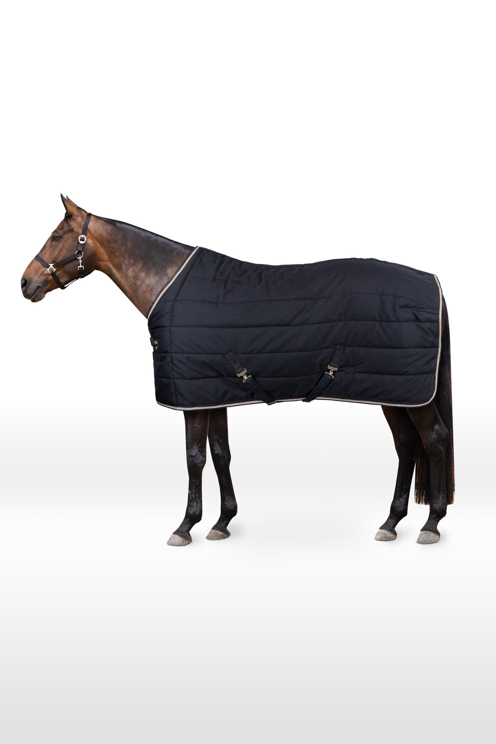 B Vertigo Corey Staldeken, 250 gram Paardendekens