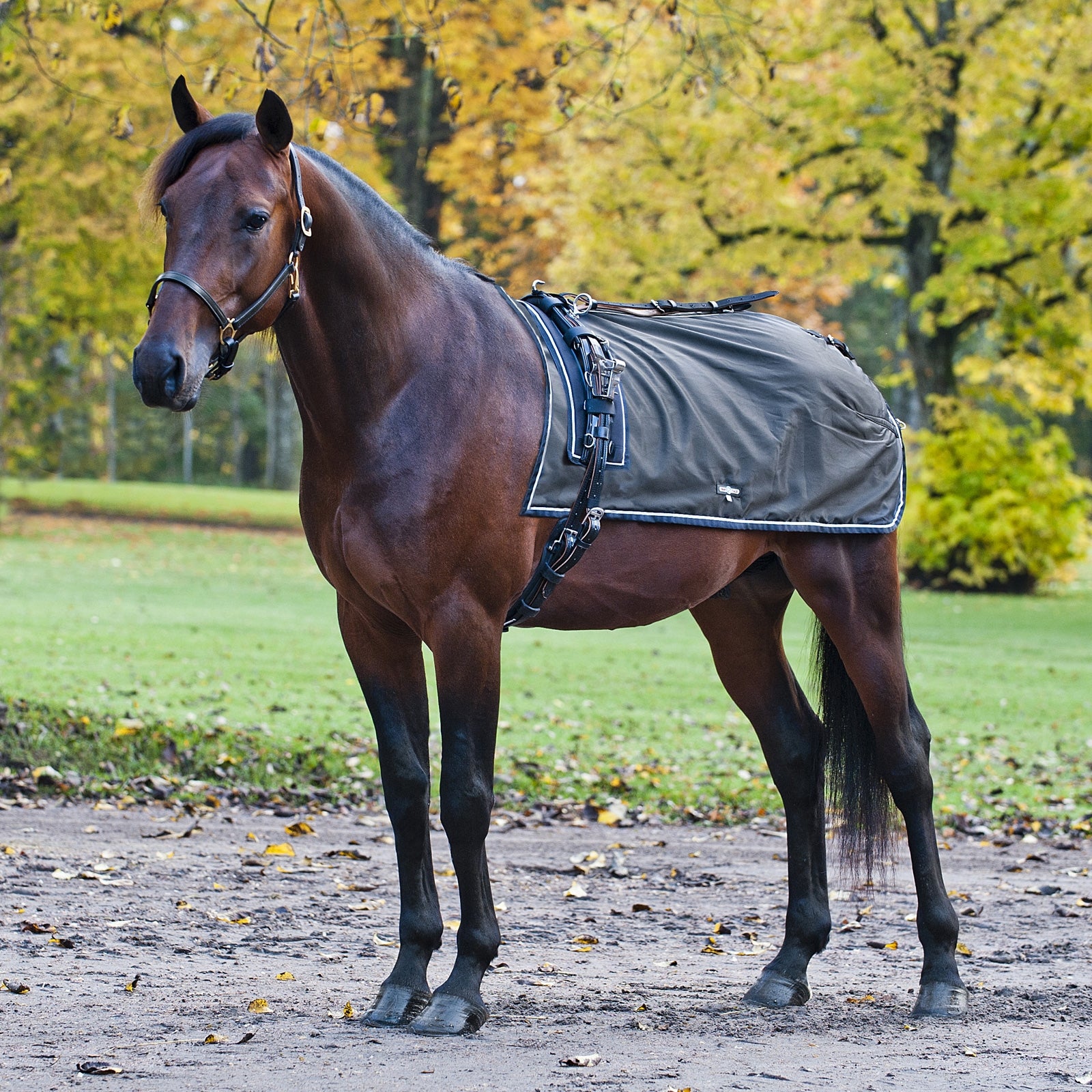 Finntack Endura quarter sheet, w/ fleece lining Paardendekens