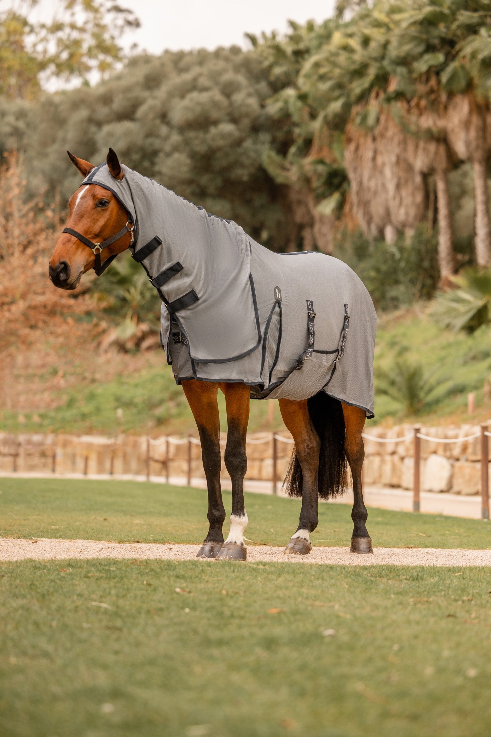 Horze Paso Fino Fly Rug with Hood and UV Protection Horse Rugs