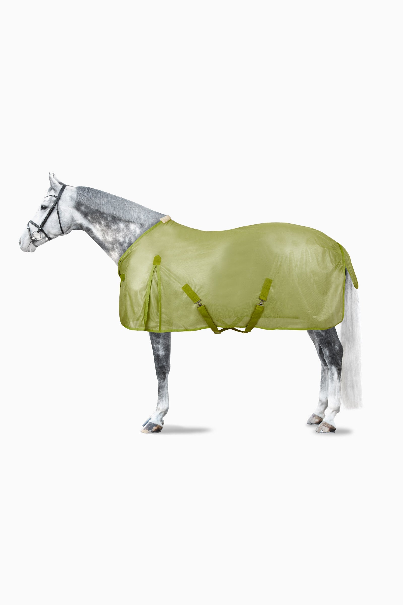 Horze kleurrijke vliegendeken Paardendekens