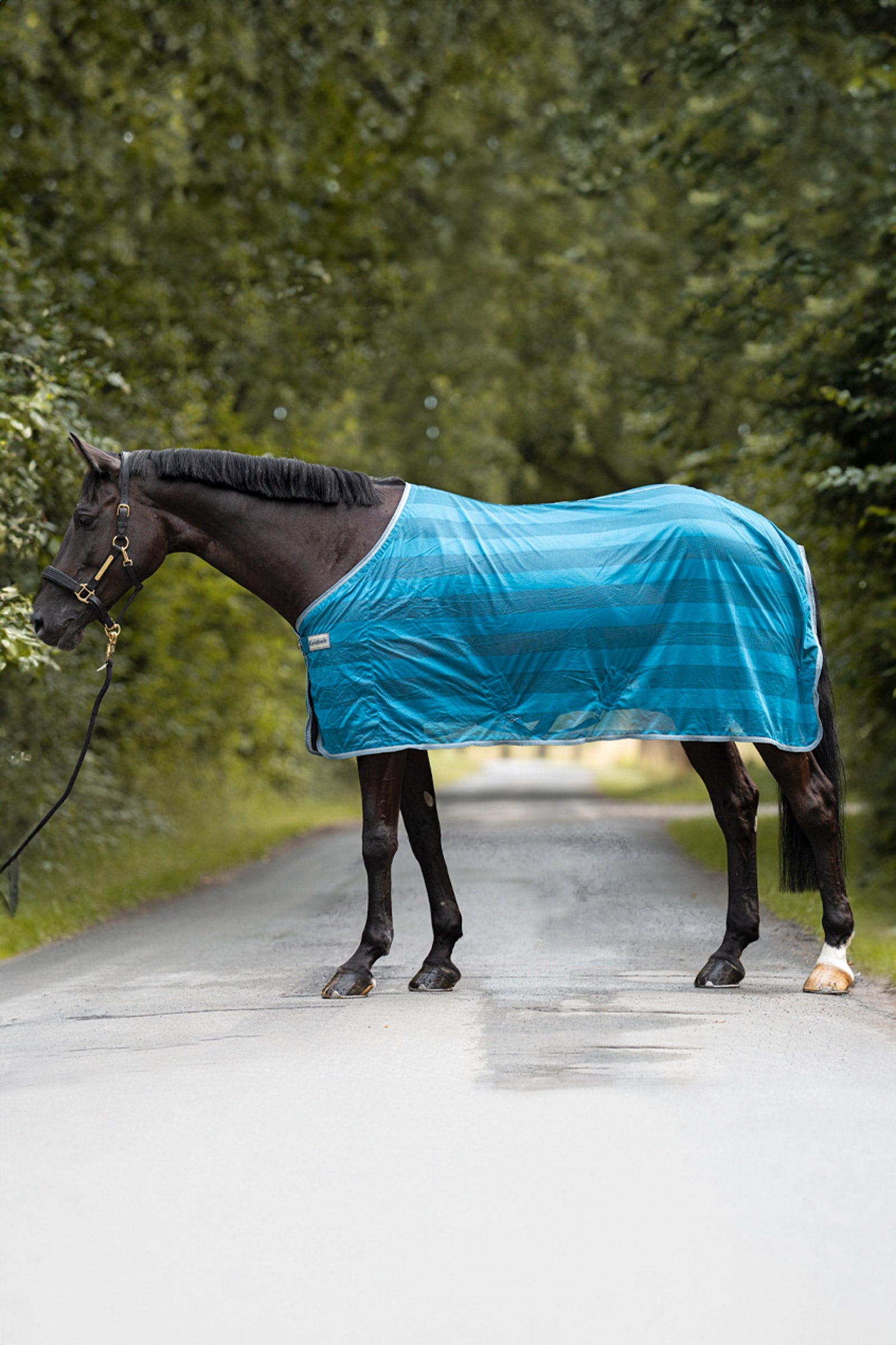 Kavalkade Stripe Vliegendeken Paardendekens
