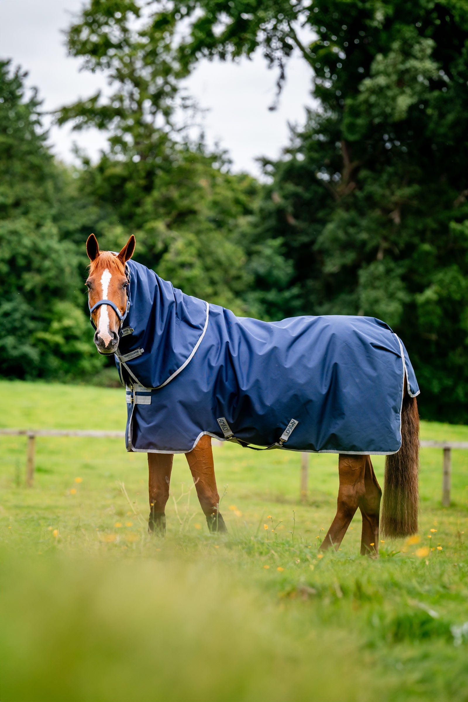 Horseware Amigo Ripstop 900D Plus outdoordeken met afneembaar halsdeel, 100 g Paardendekens