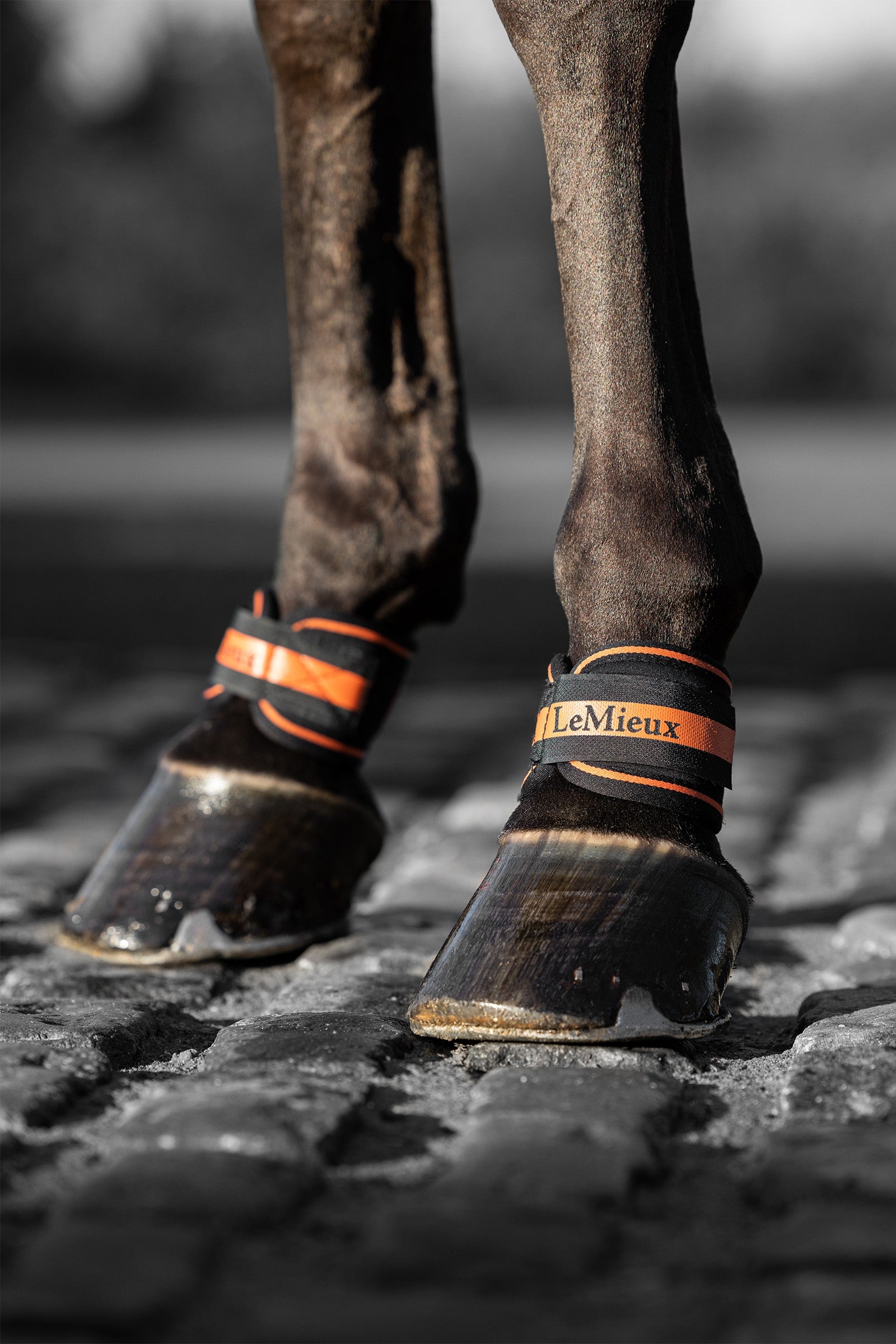 LeMieux Magno kootbeschermer