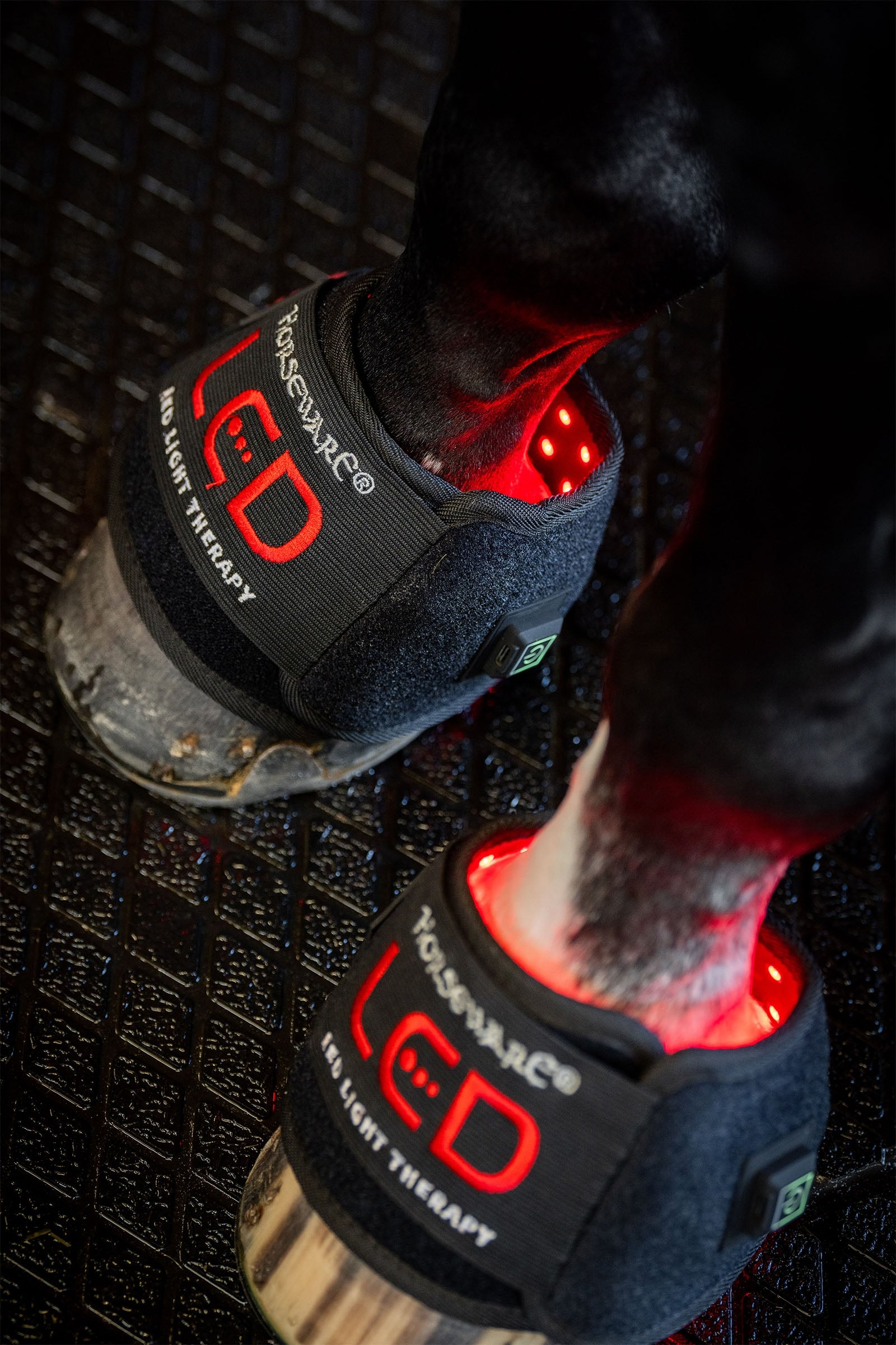 Horseware LED roodlichttherapie mini beenbeschermer (1 st.) Leg Protection & Hoof Protection for Horses