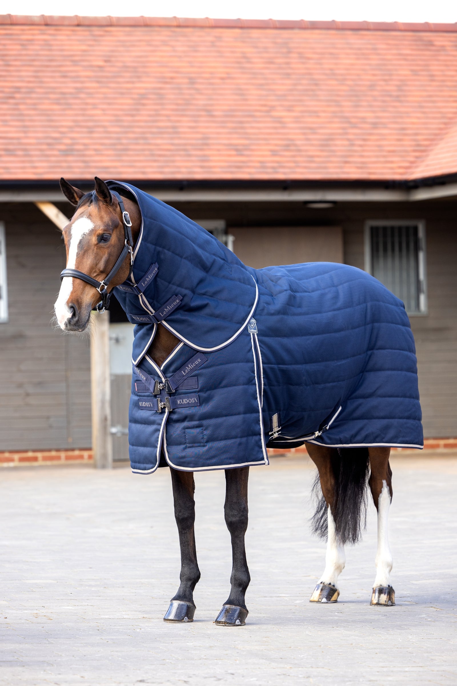 LeMieux Kudos Stable Rug, 100g Horse Rugs