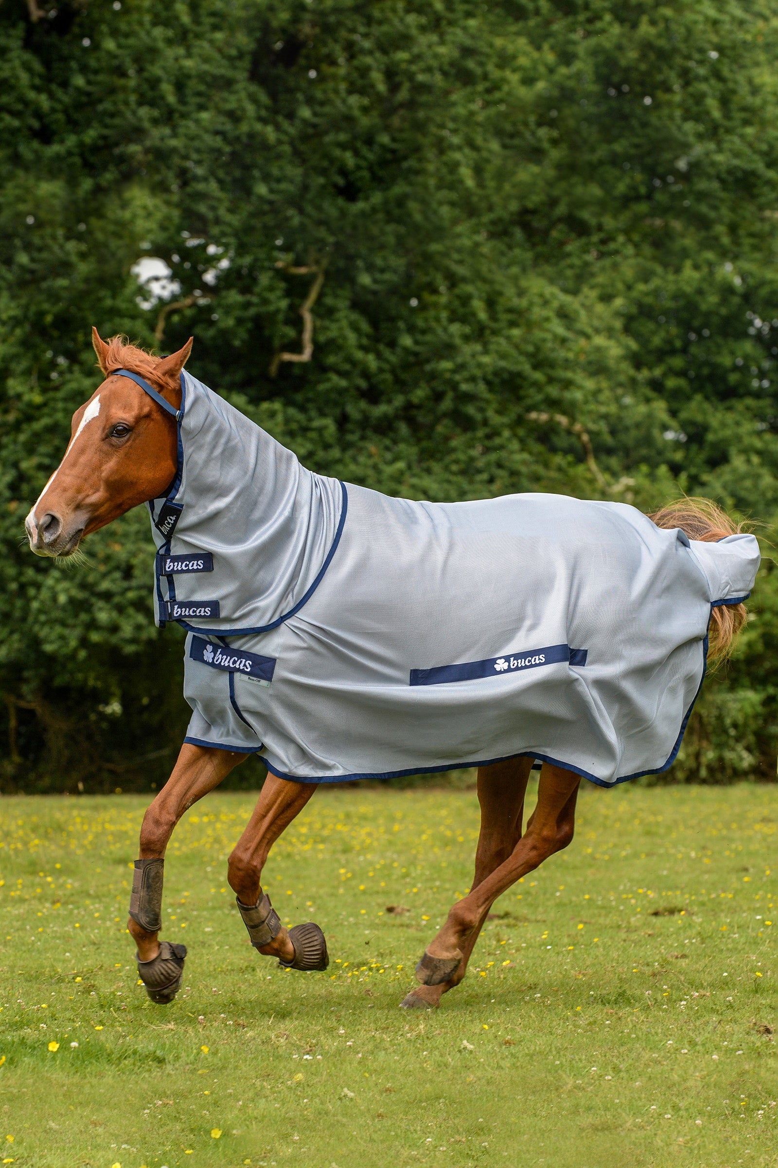 Bucas Buzz-Off Ponydeken met Vaste Hals Paardendekens