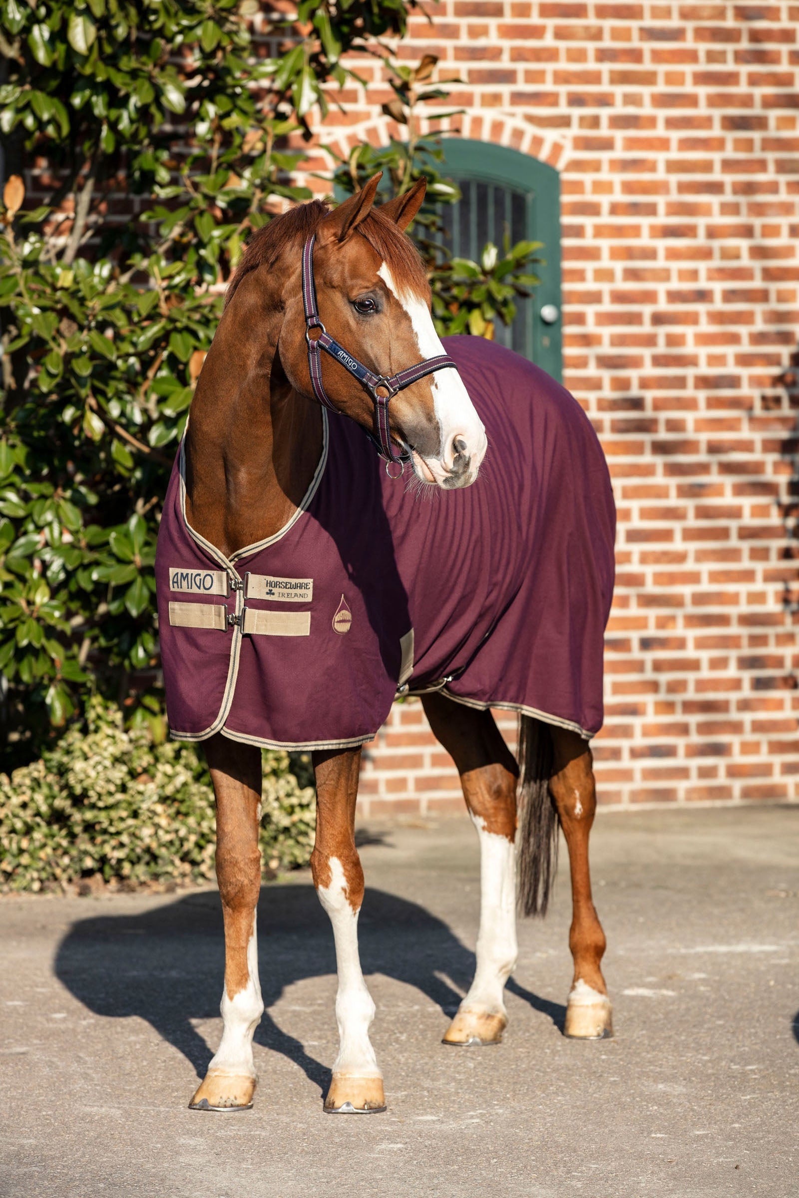 Horseware Amigo Staldeken, 0g Paardendekens