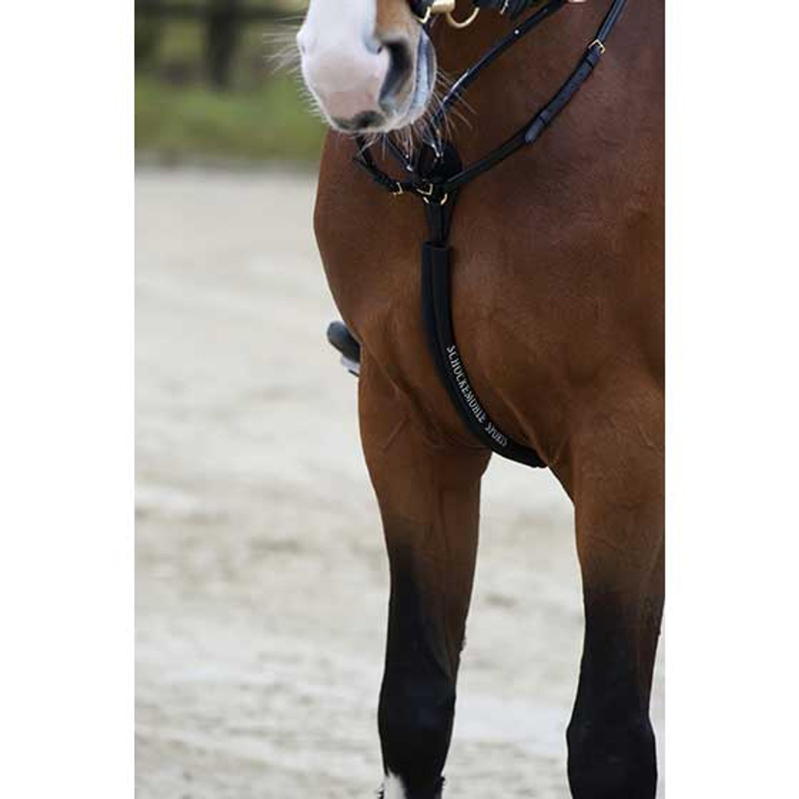 Schockemöhle Sports Body Guard, neoprene tube breastplate Bridles & Reins