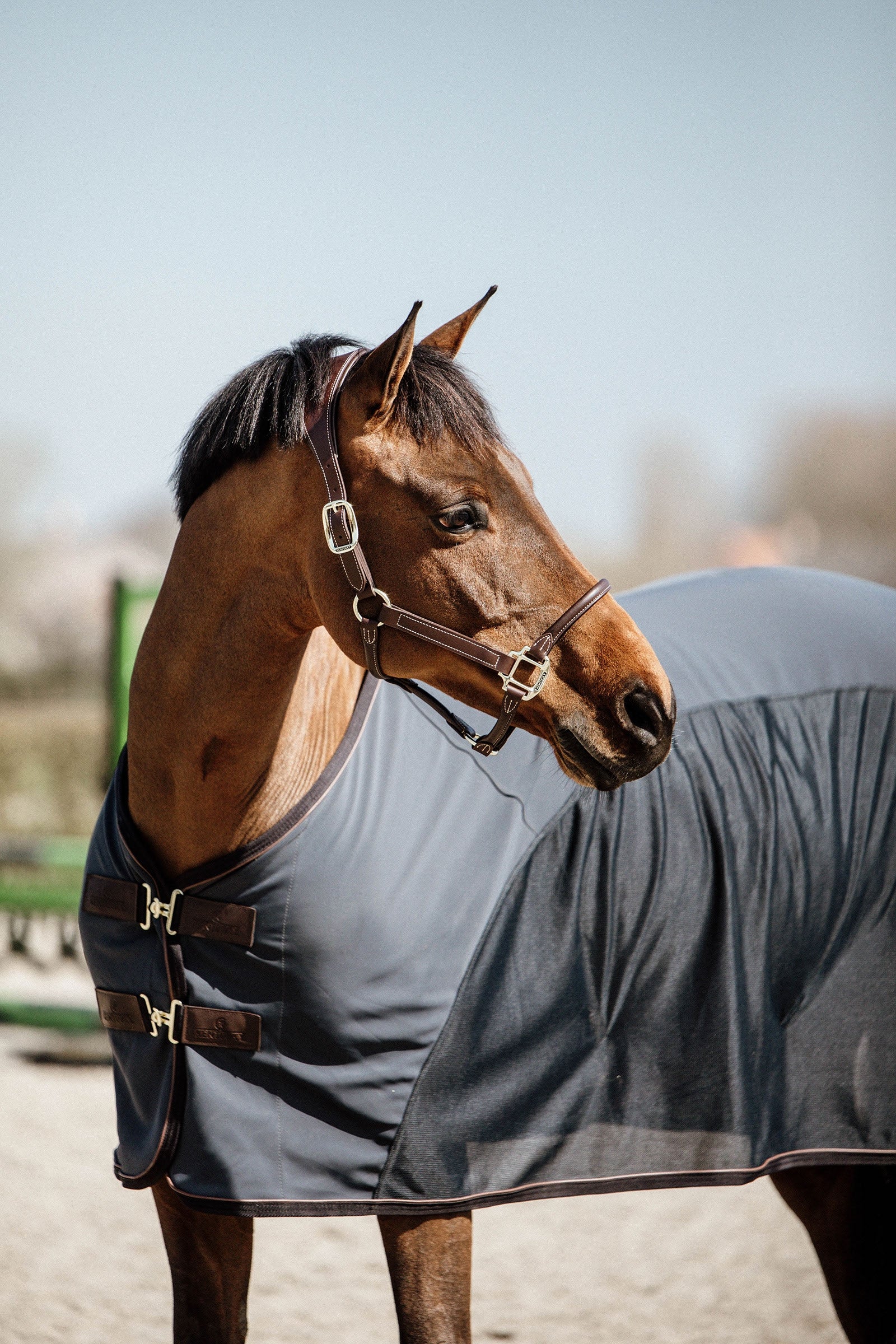 Kentucky Horsewear Cooler Softshell sheet Paardendekens