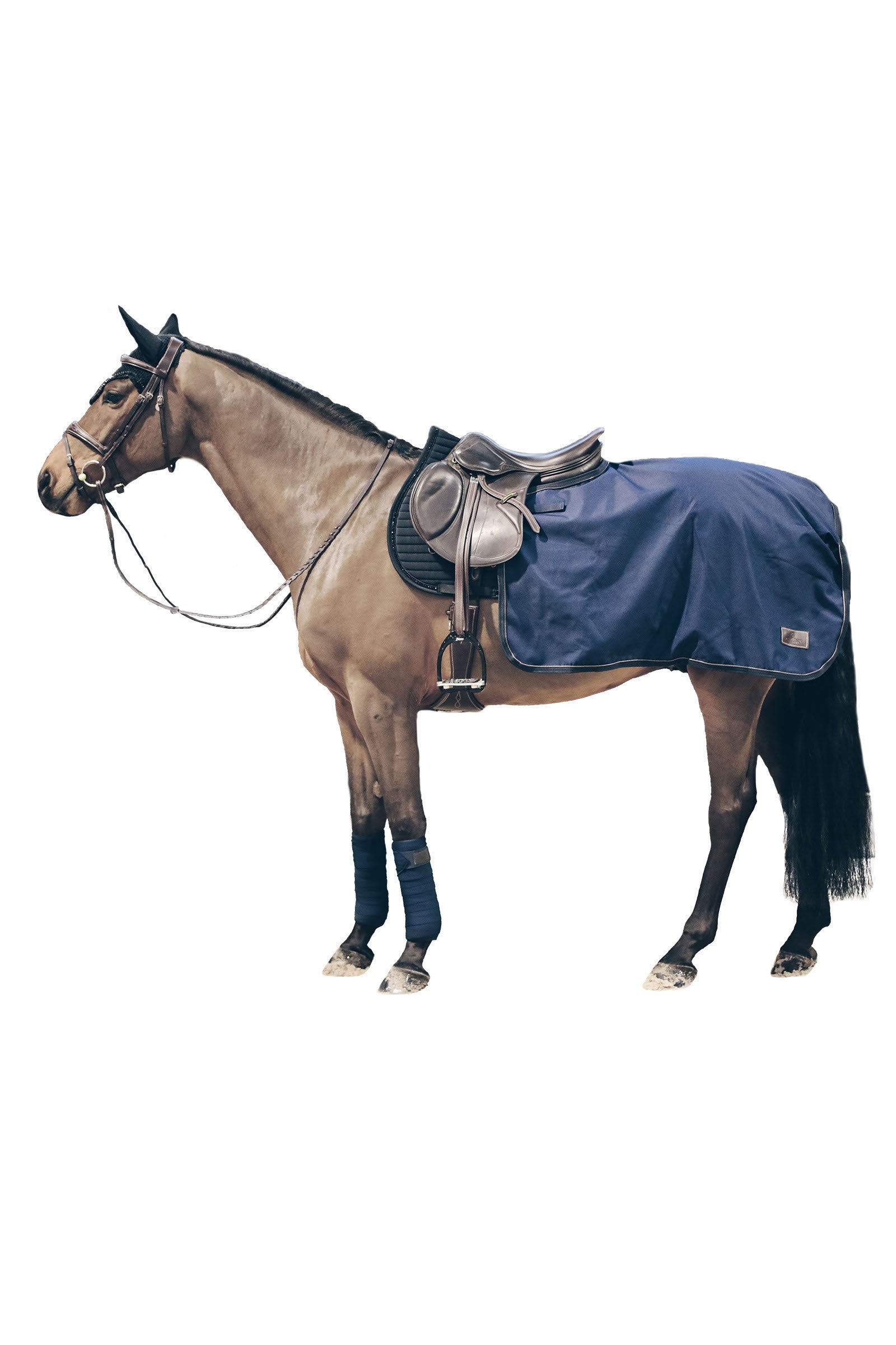 Kentucky Horsewear All Weather Exercise Sheet, 160g Horse Rugs