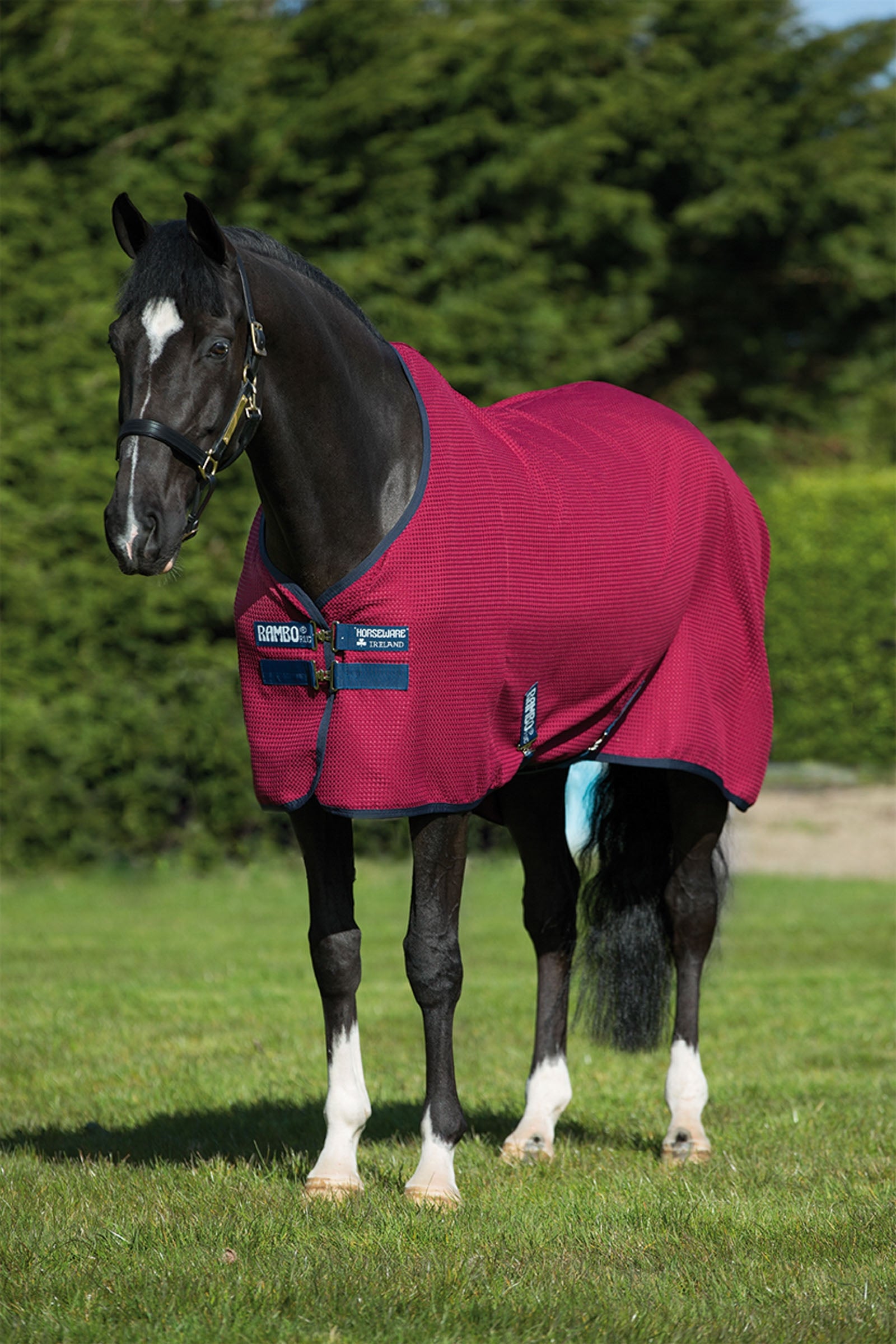 Horseware Rambo Techni Wafel Zweetdeken Paardendekens