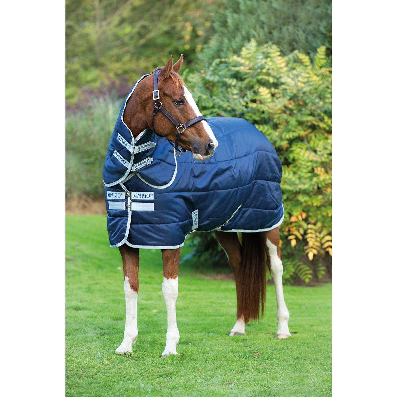 Horseware Amigo Insulator Plus Staldeken met afneembaar halsdeel, 200g Paardendekens