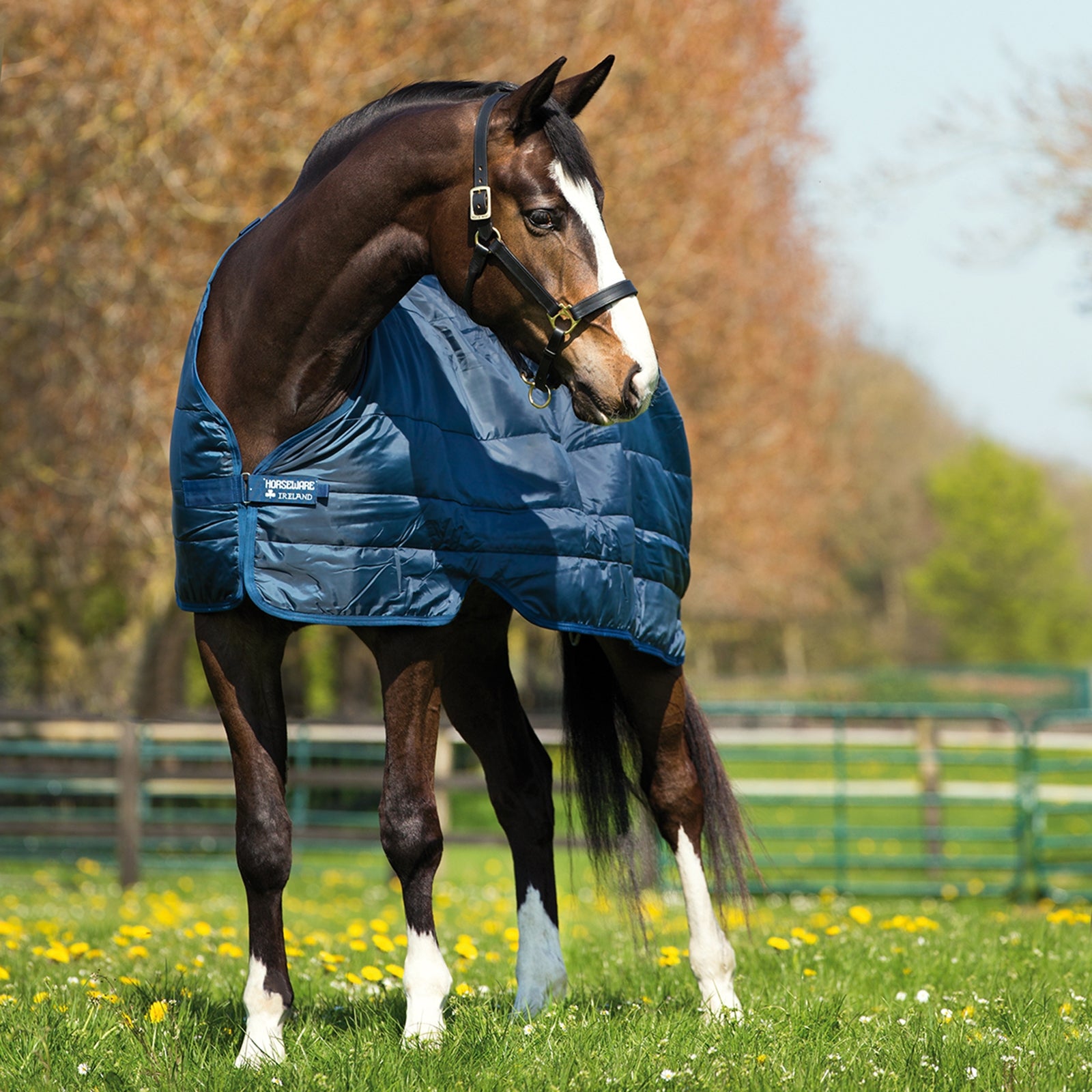Horseware onderdeken 300 g Paardendekens