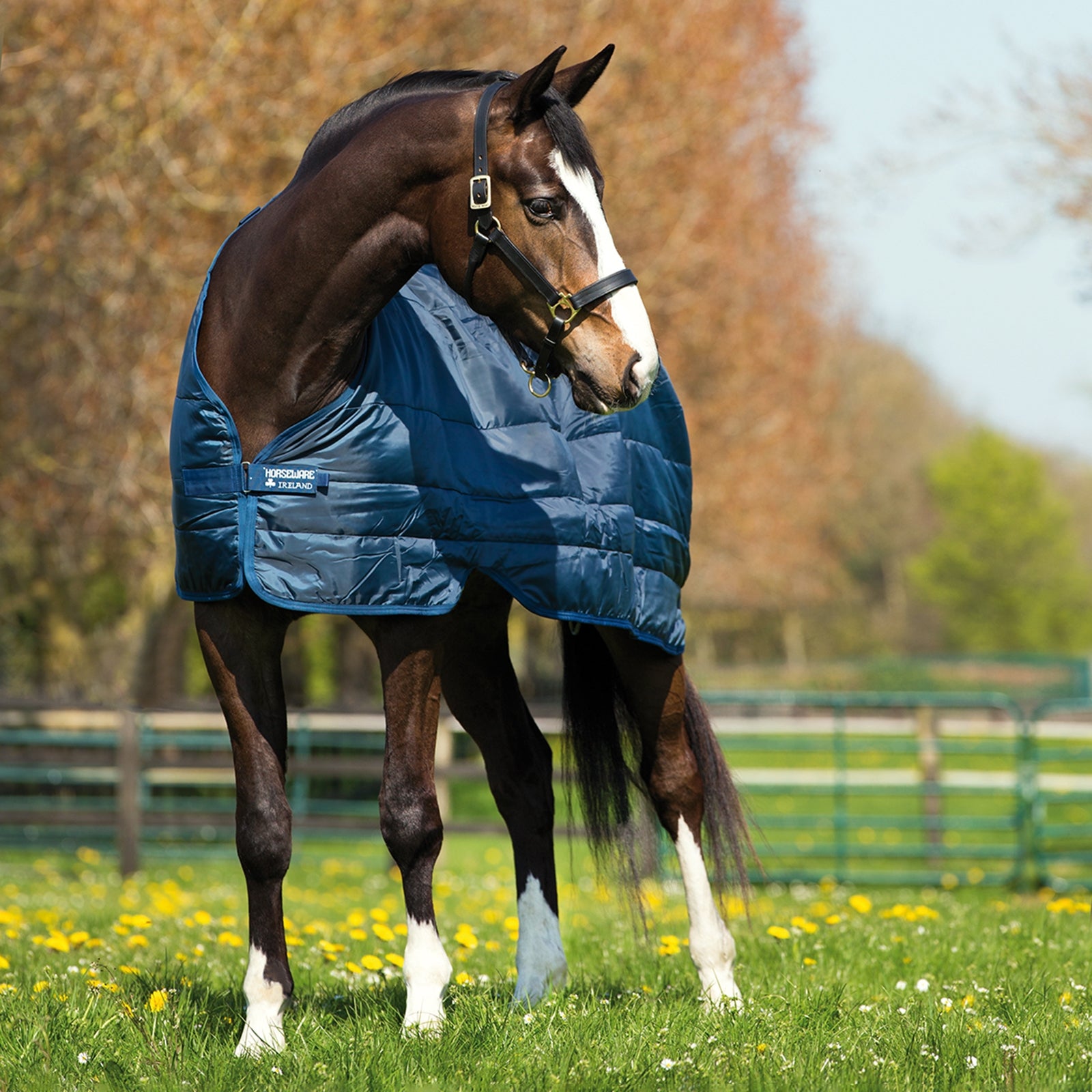 Horseware voering 400 g Paardendekens