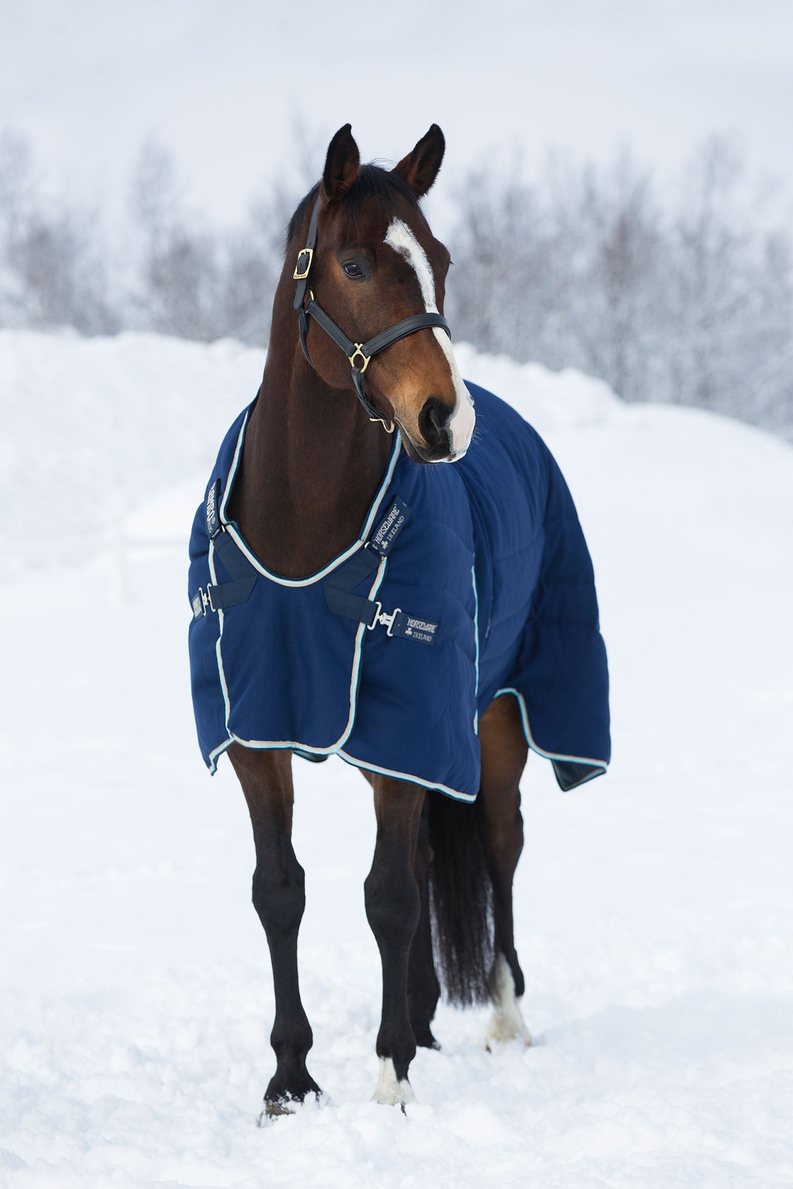 Horseware Rambo Optimo Staldeken 400 grams Paardendekens