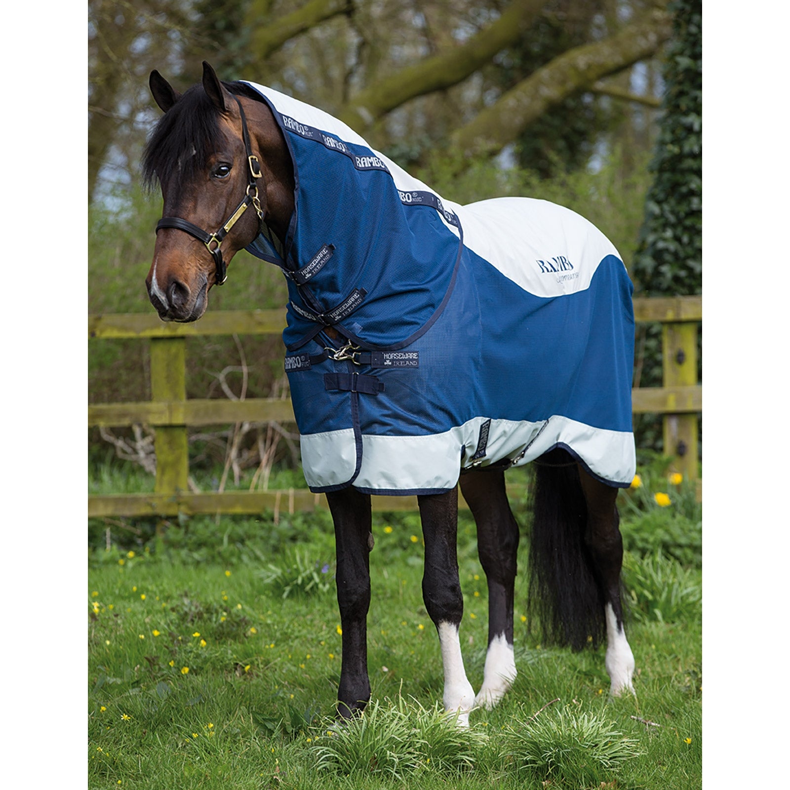 Horseware Rambo Summer Series outdoordeken met voering (0g / 100g) en afneembaar halsstuk Paardendekens