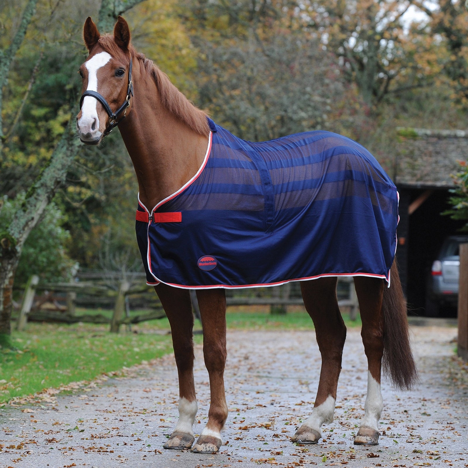 Weatherbeeta Scrim Zweetdeken Standaard hals Paardendekens