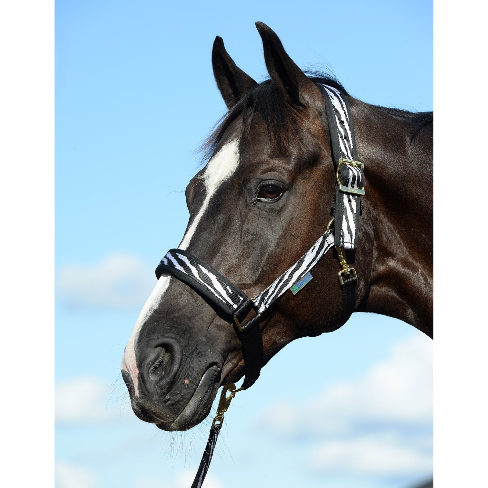 Bucas Comfort Halster Halsters & Halstertouwen