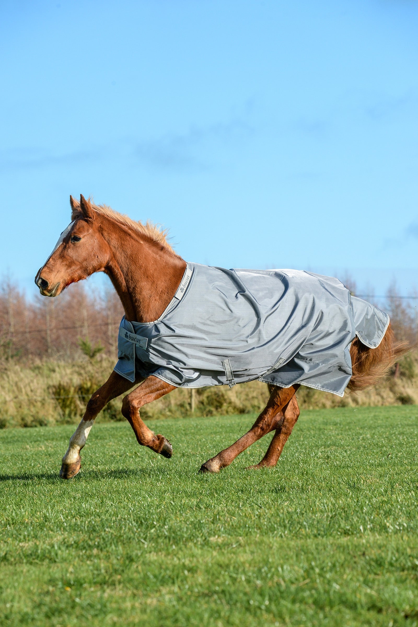 Bucas Smartex Extra Deken, 300g Paardendekens