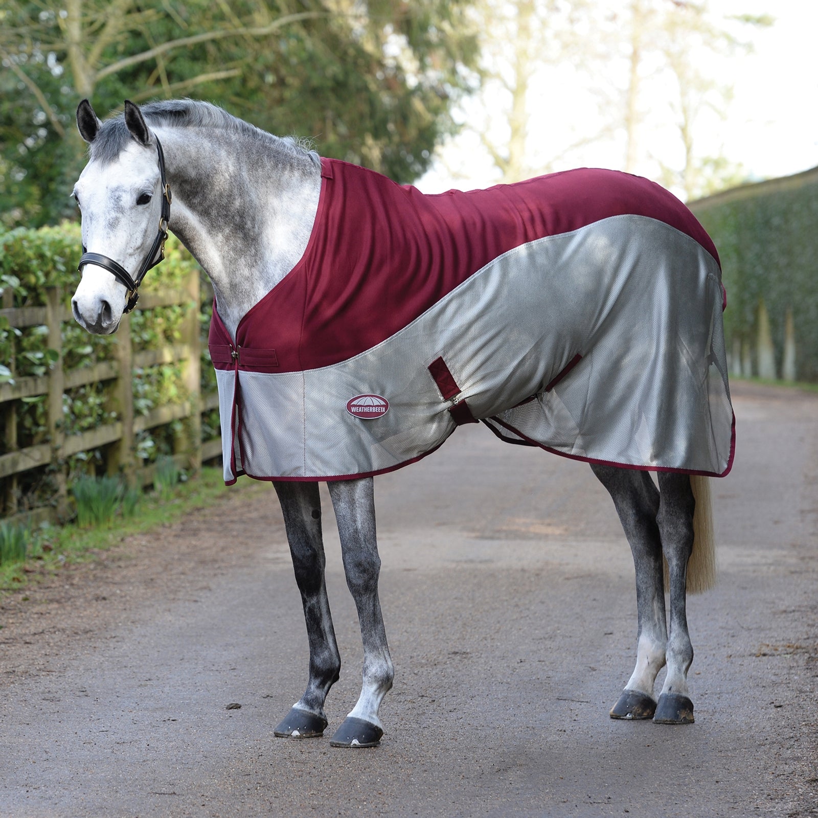 Weatherbeeta Micro-Air Cooler Standaard Hals Paardendekens