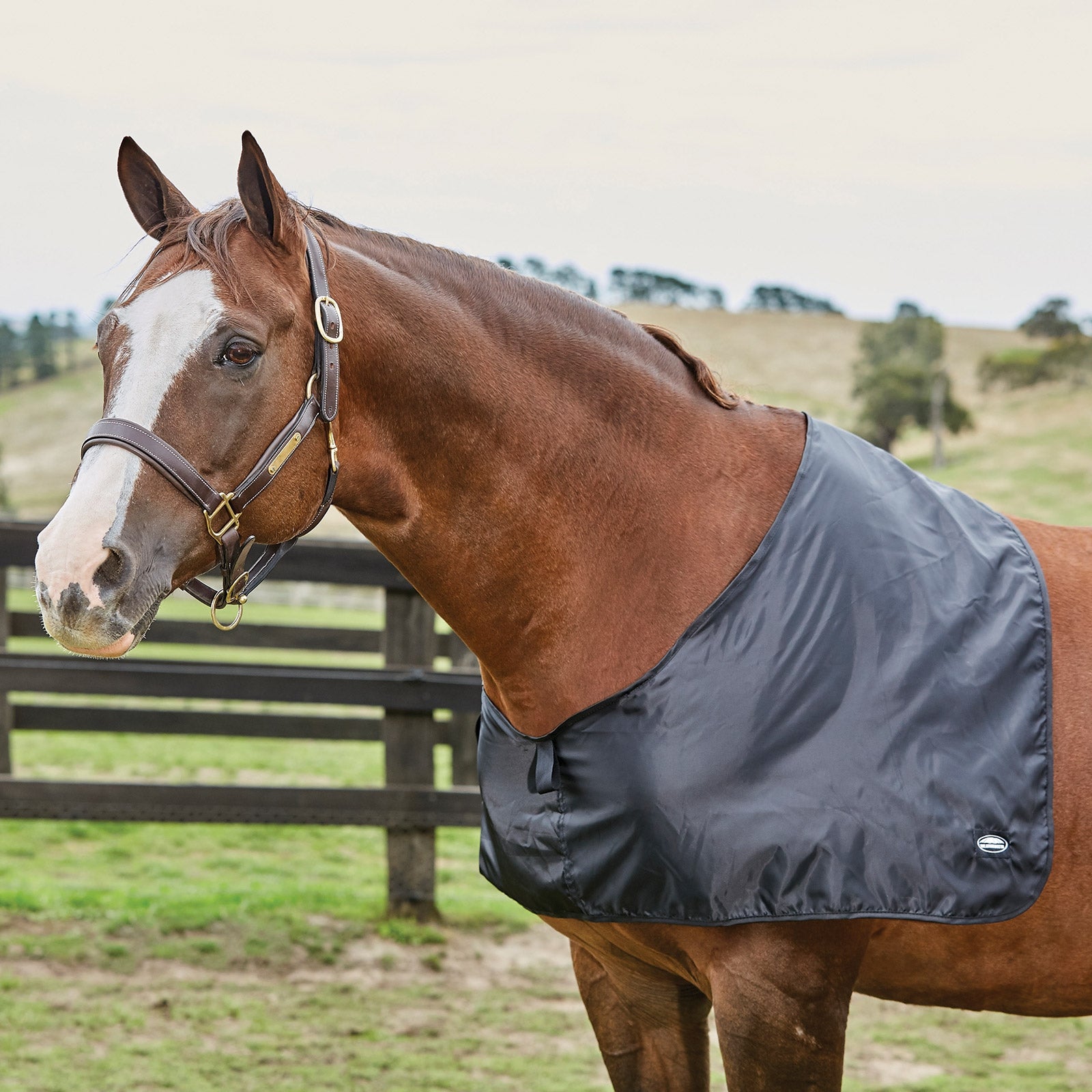 Weatherbeeta Satijnen Borstbeschermer Paardendekens