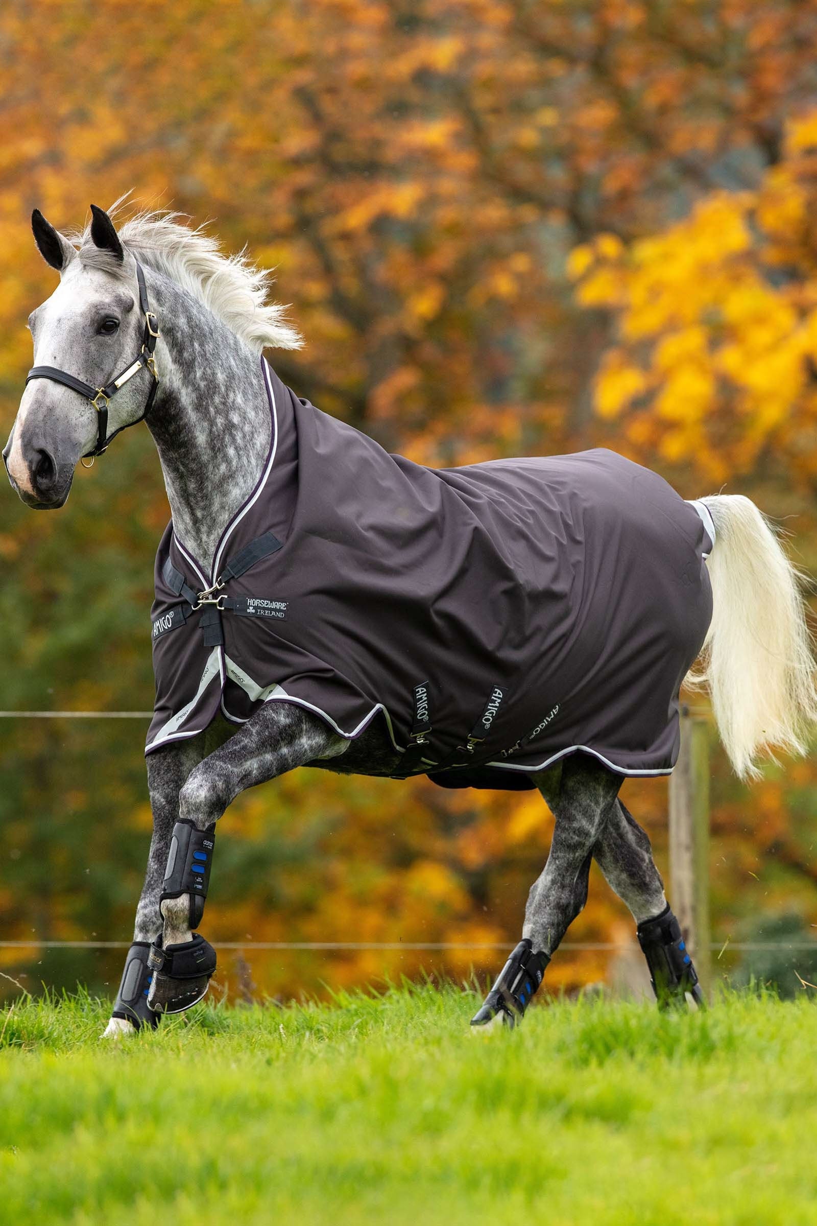 Horseware Amigo Bravo 12 Wug buitendeken met hoge hals, 0 g Paardendekens