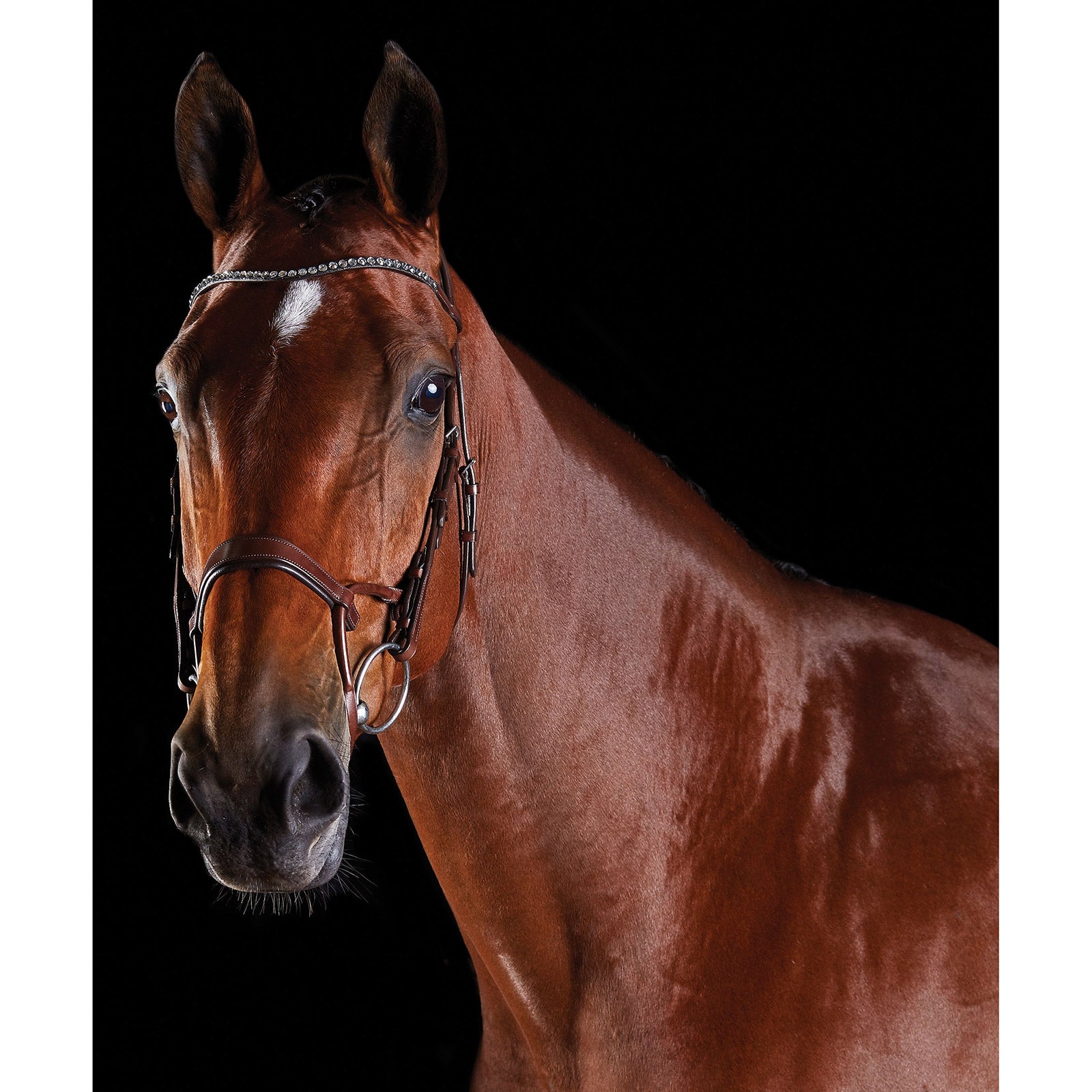 Collegiate ComFiTec Crystal Hoofdstel Hoofdstellen & Teugels
