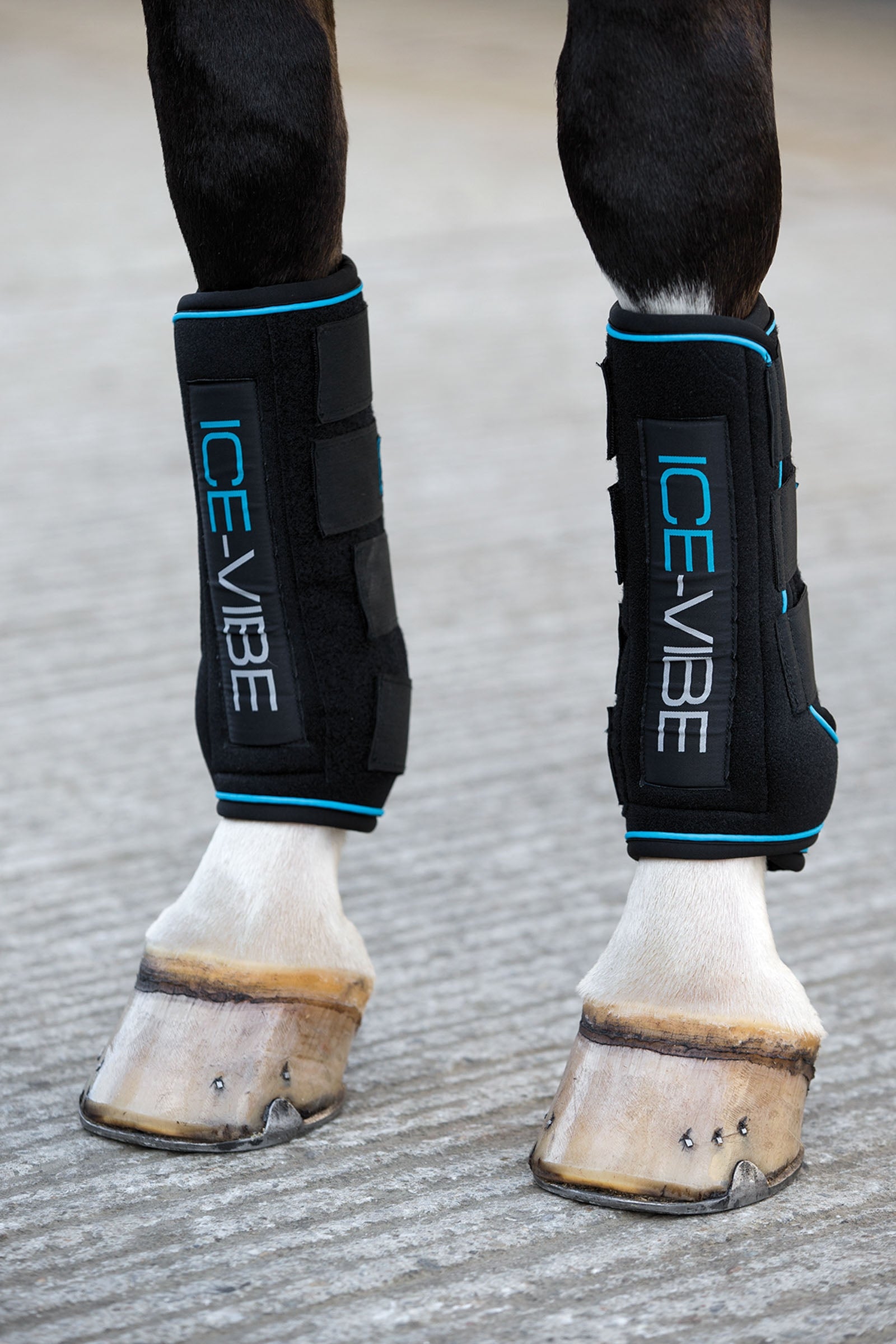 Horseware Ice-Vibe Beschermers Leg Protection & Hoof Protection for Horses