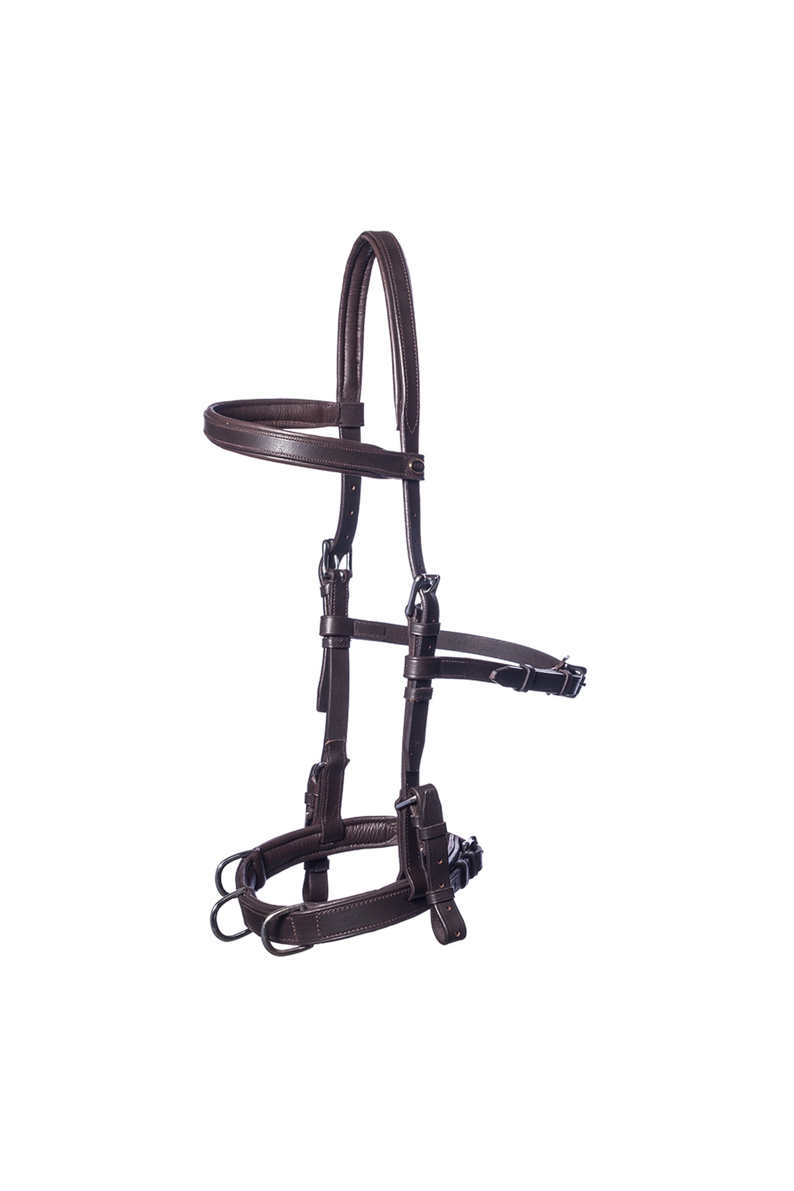 F.R.A. Freedom Riding Articles Baro kaptoom, leer Longeren & Longeerhulp