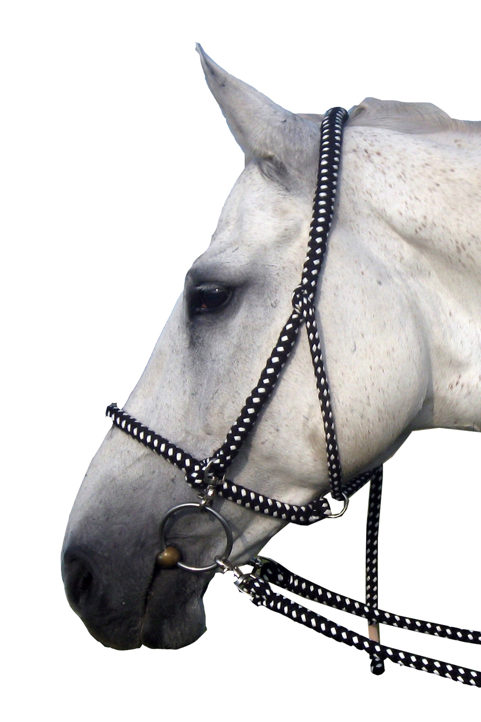 F.R.A. Freedom Riding Articles Gregor Halster-hoofdstel Katoen, teugels inbegrepen Halsters & Halstertouwen