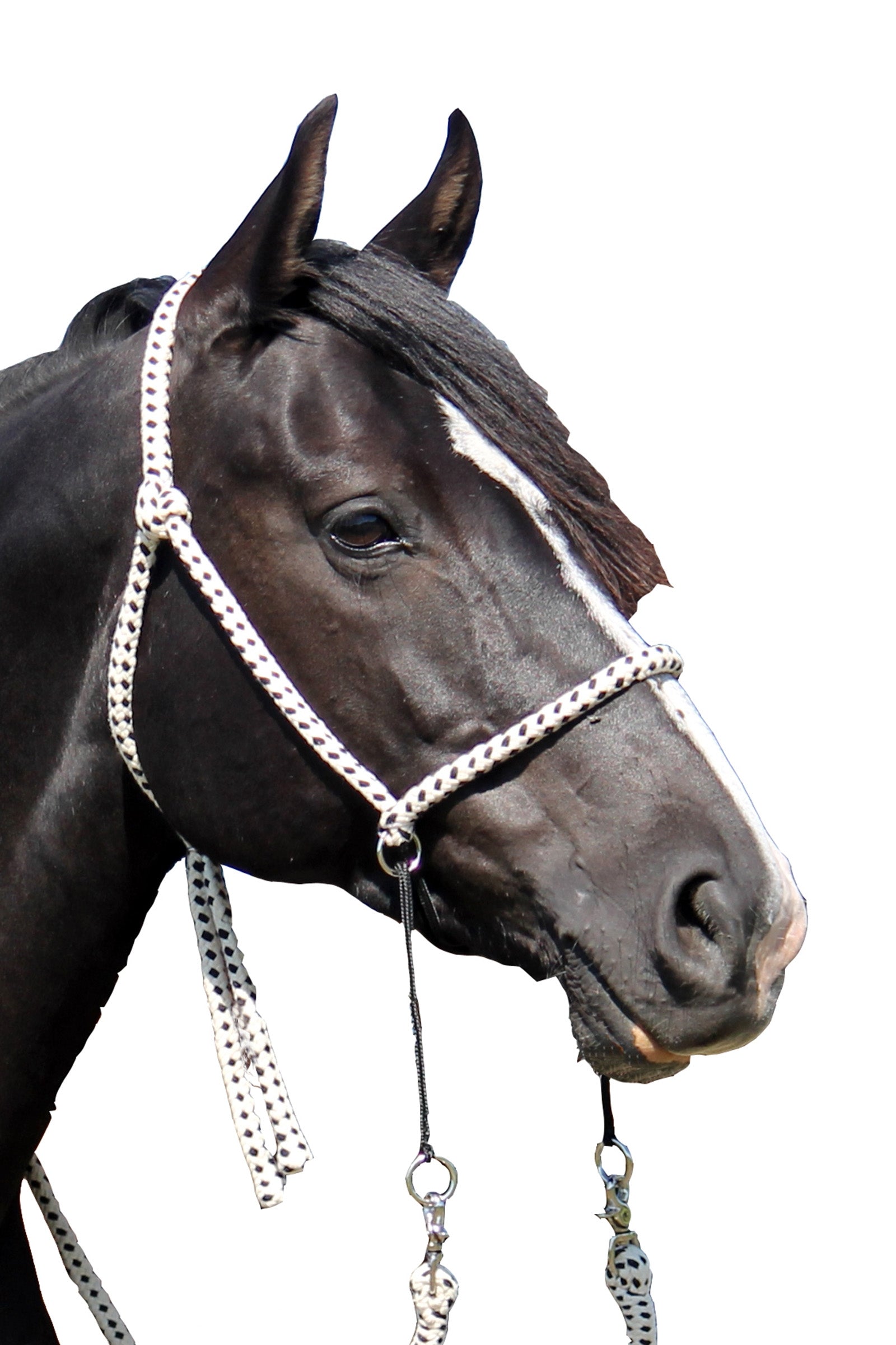 F.R.A. Freedom Riding Articles Nanouk Bitloos Hoofdstel (System 4) Katoen met clip teugels Hoofdstellen & Teugels