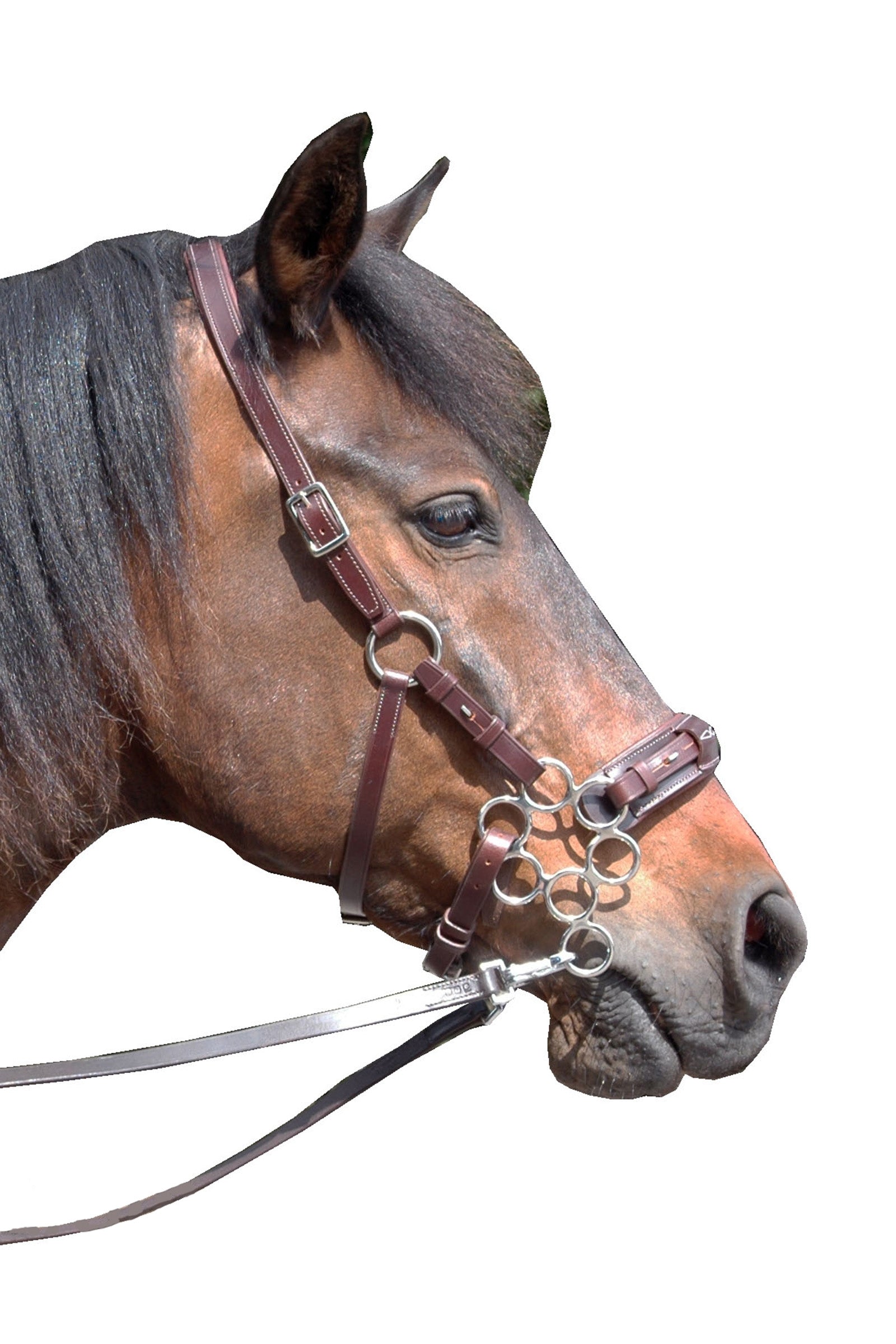 F.R.A. Freedom Riding Articles Aram Hackamore (system 2) leder, kaakriemen, met scharen Hoofdstellen & Teugels