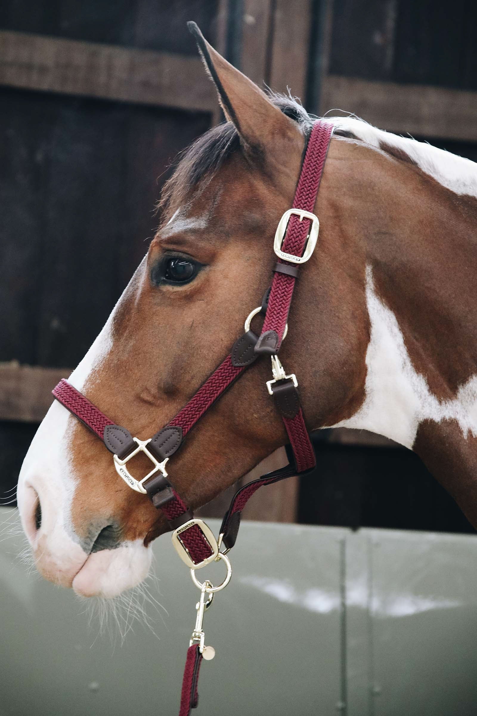 Kentucky Horsewear Kentucky Nylon Gevlochten Halster Halsters & Halstertouwen