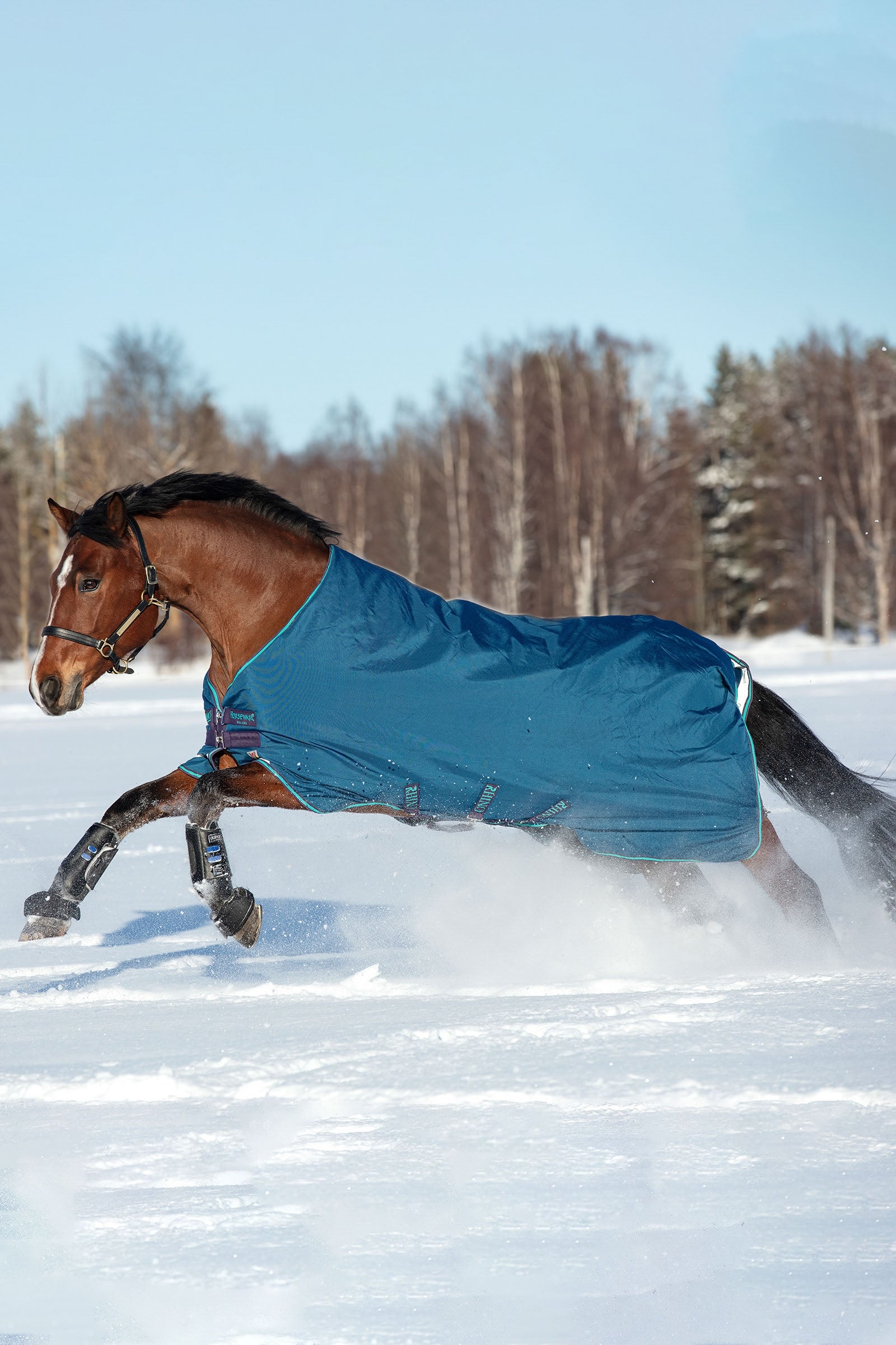 Horseware Rhino Original Paardendeken Medium VL, 250g Paardendekens