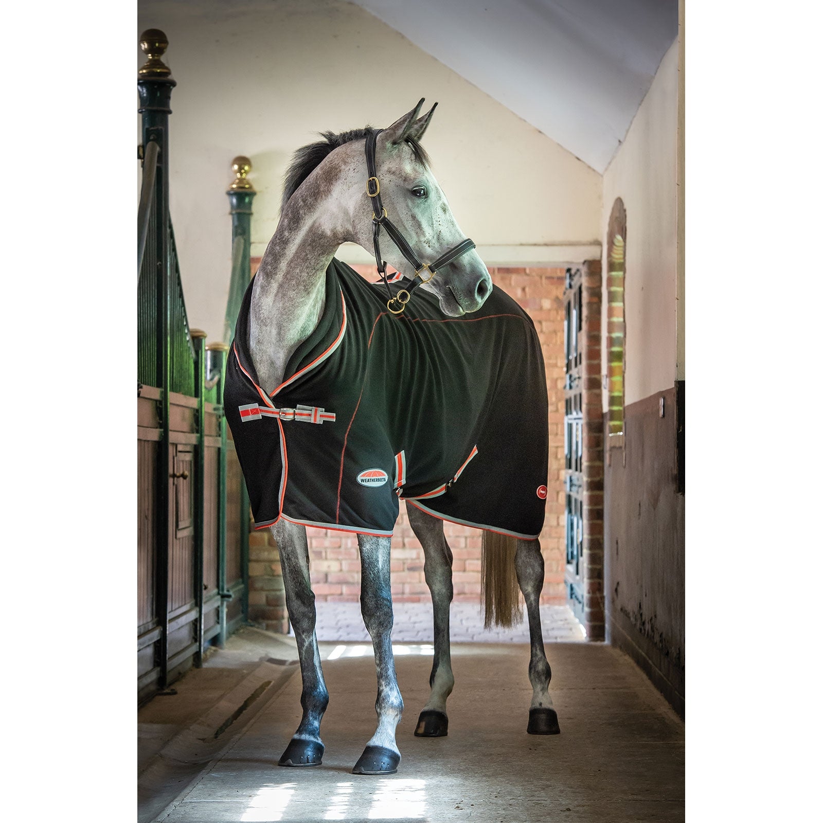 Weatherbeeta Therapy-Tec Standaard Hals Paardendekens