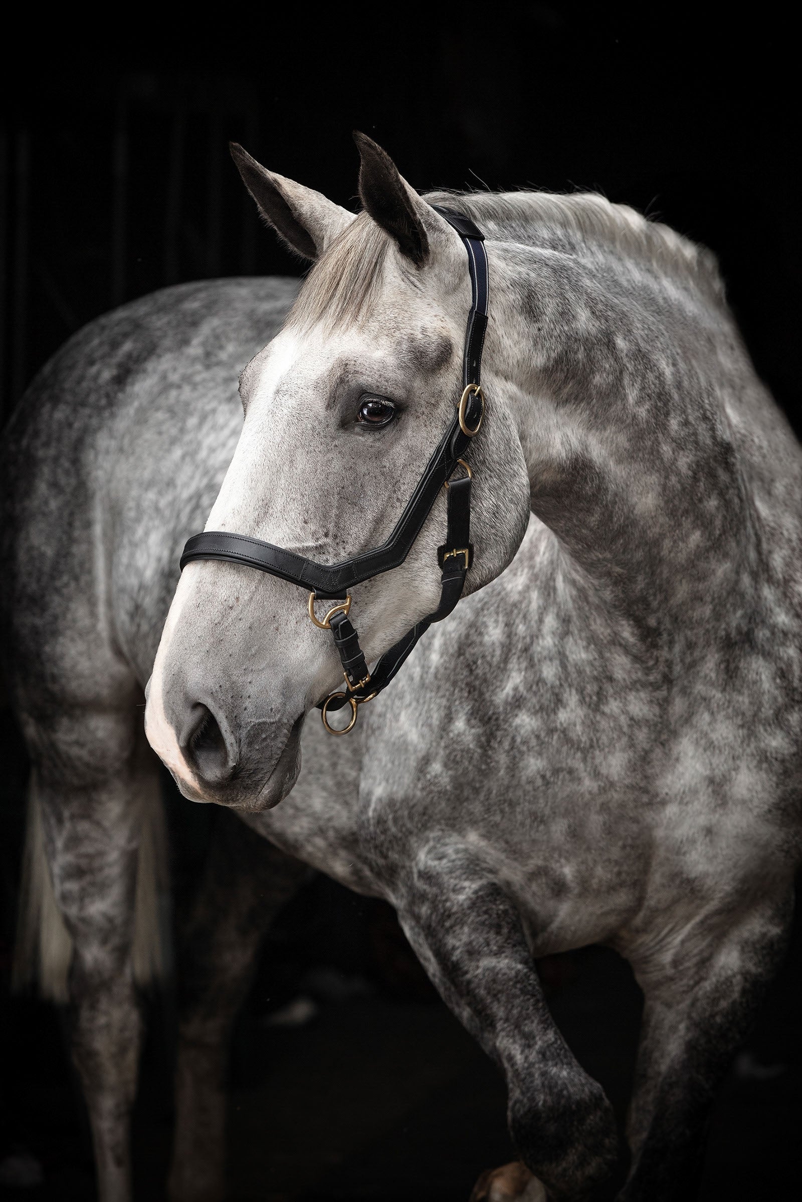 Horseware Rambo Micklem Halster Halsters & Halstertouwen