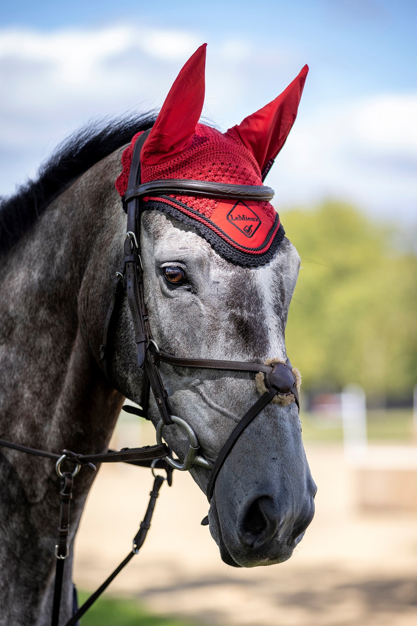 LeMieux Classic Fly Hood Antifly Protection for Horses